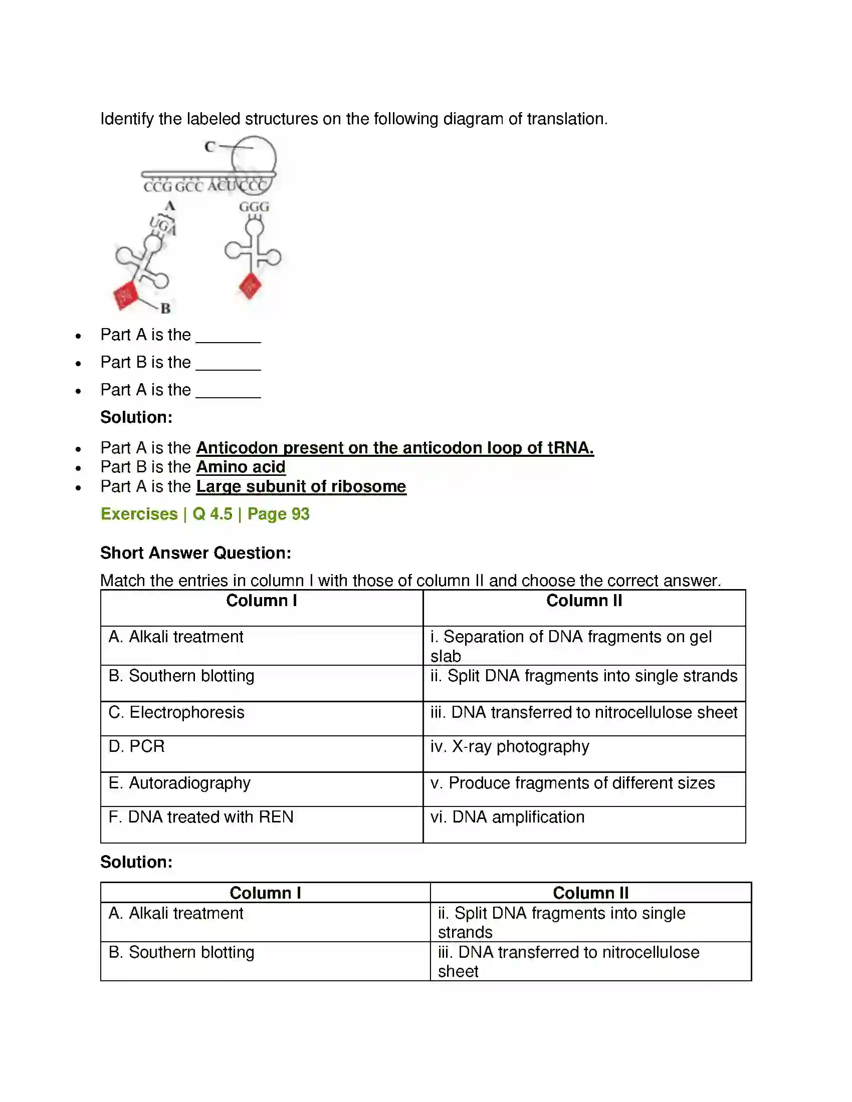 Maharashtra Board Class 12th Biology Molecular Basis of Inheritance Solution 11