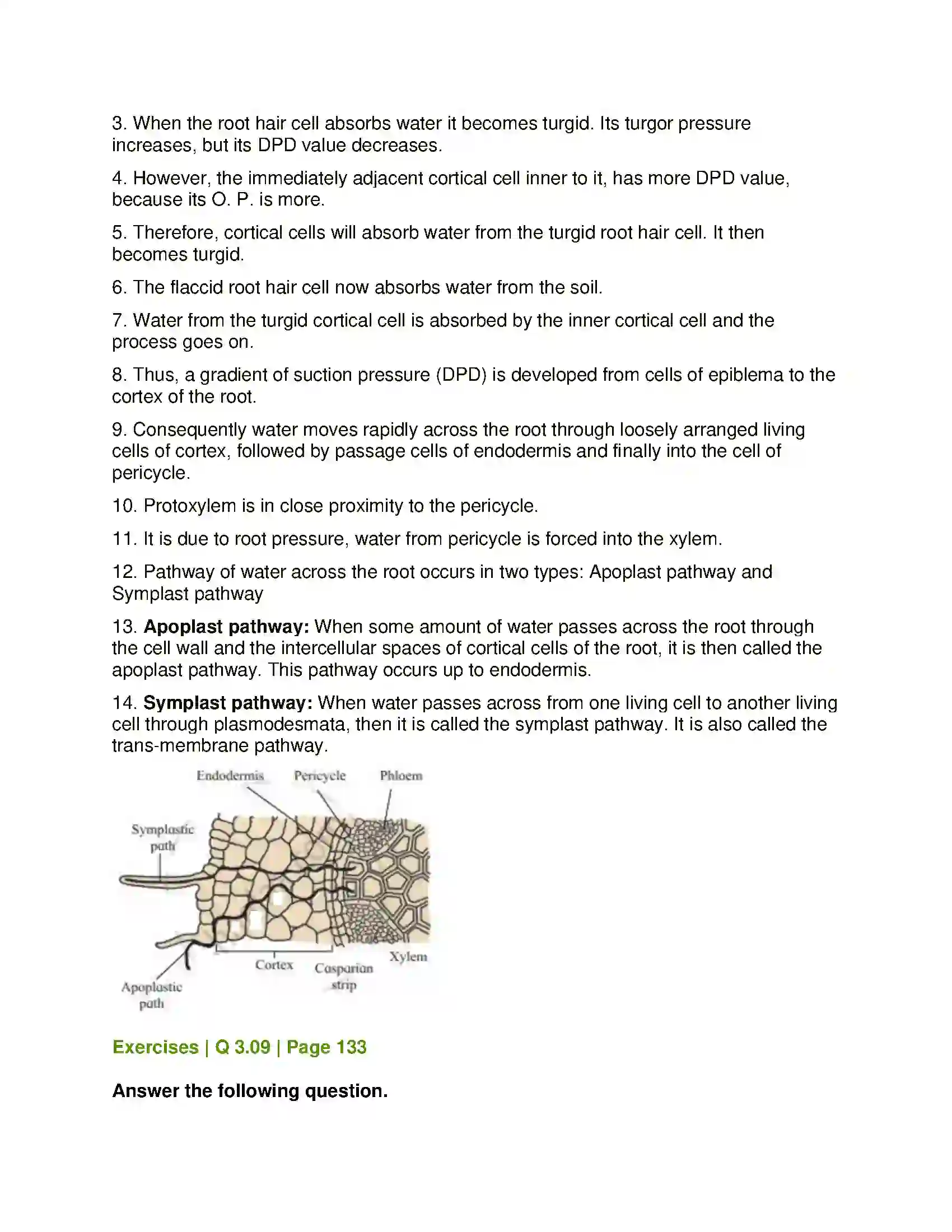 Maharashtra Board Class 12th Biology Plant Water Relation Solution 12