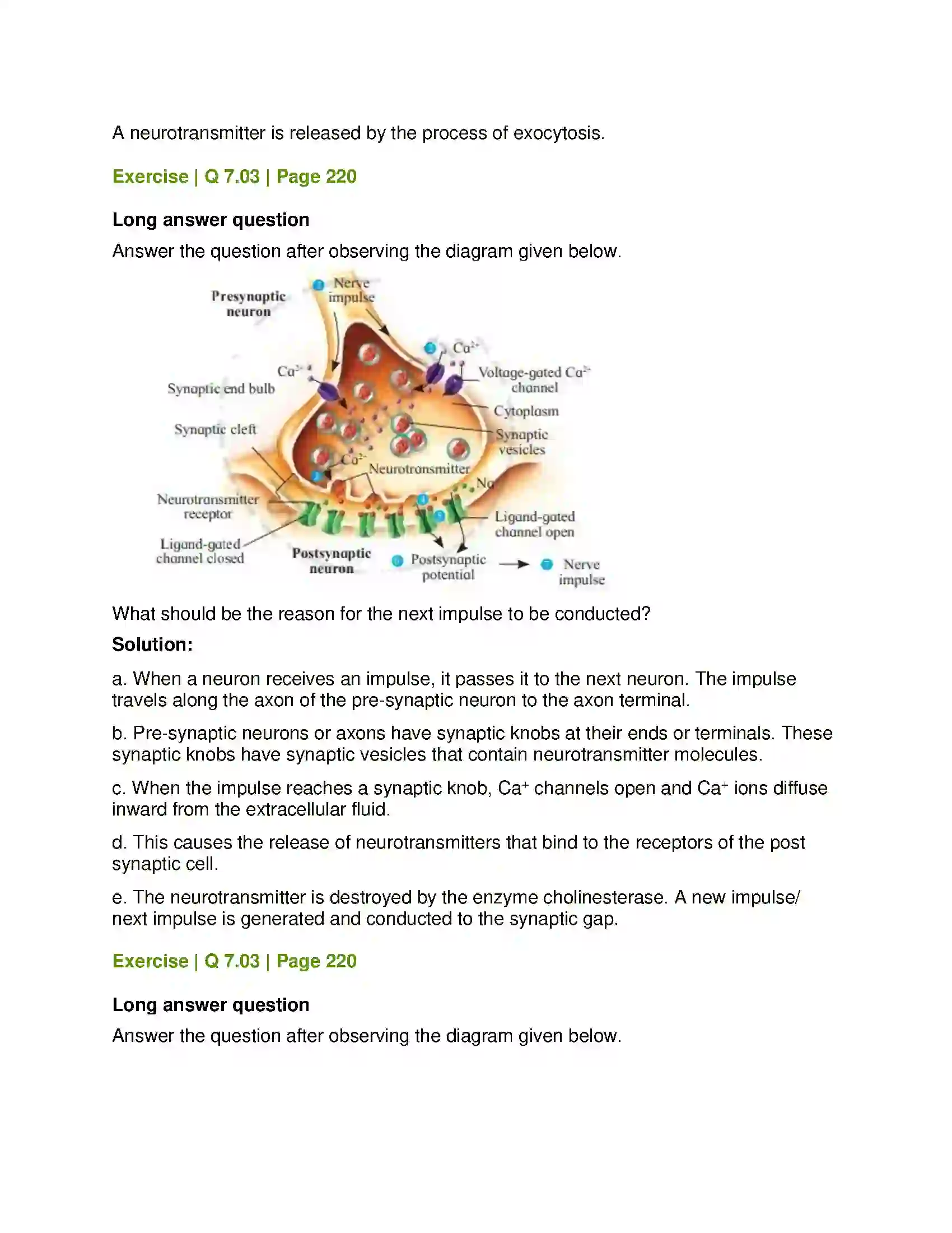 Maharashtra Board Class 12th Biology Control and Co-ordination Solution 20