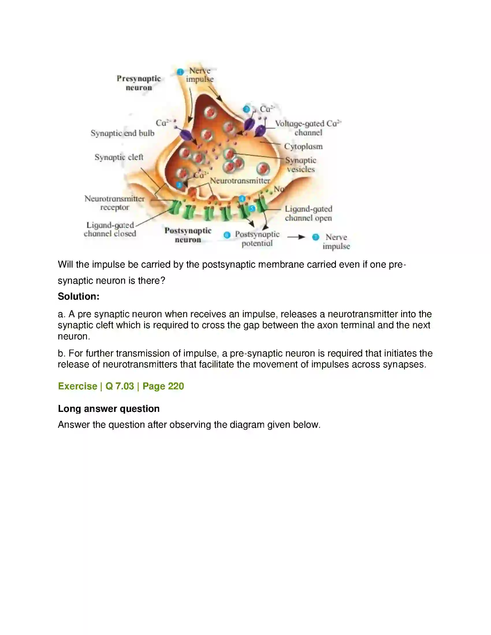 Maharashtra Board Class 12th Biology Control and Co-ordination Solution 21