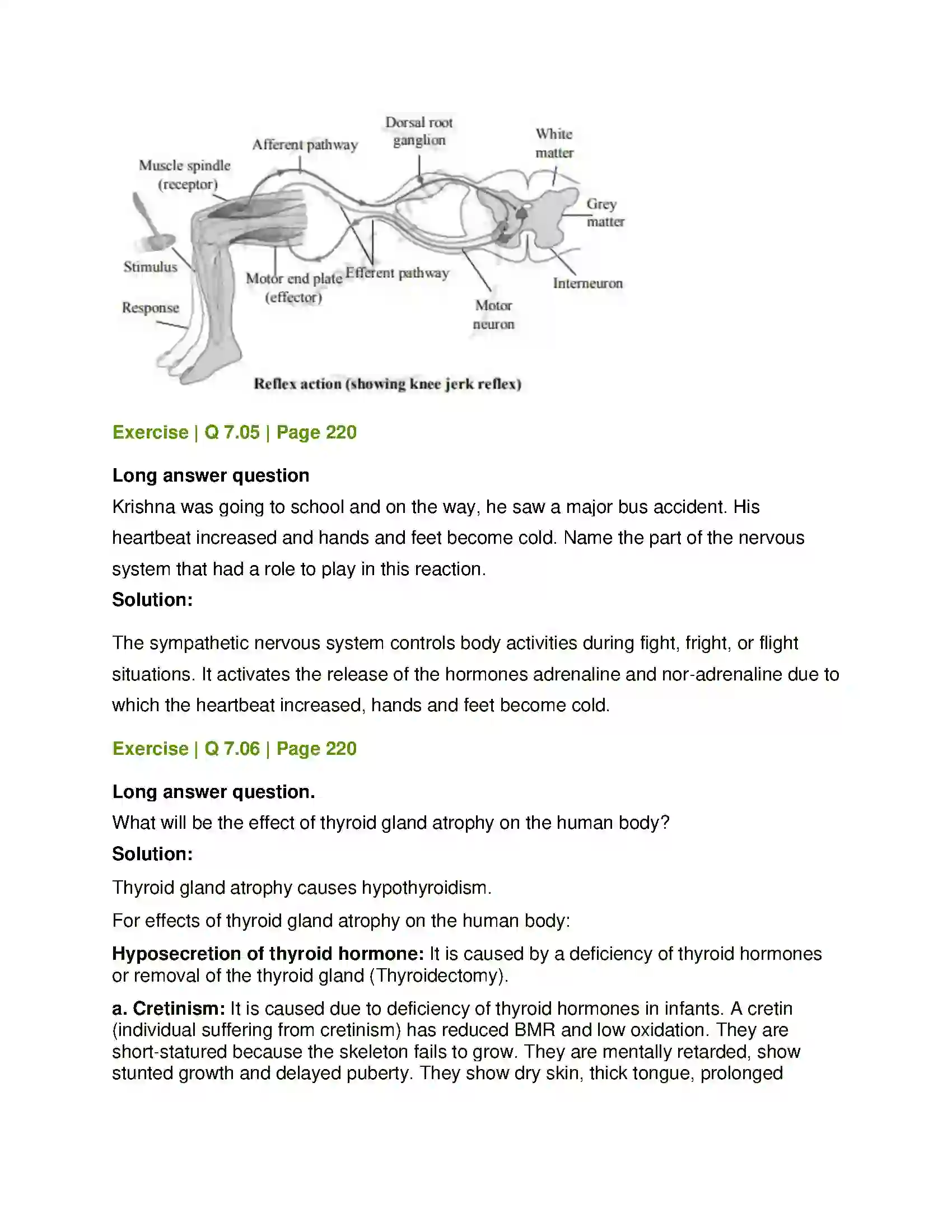 Maharashtra Board Class 12th Biology Control and Co-ordination Solution 23