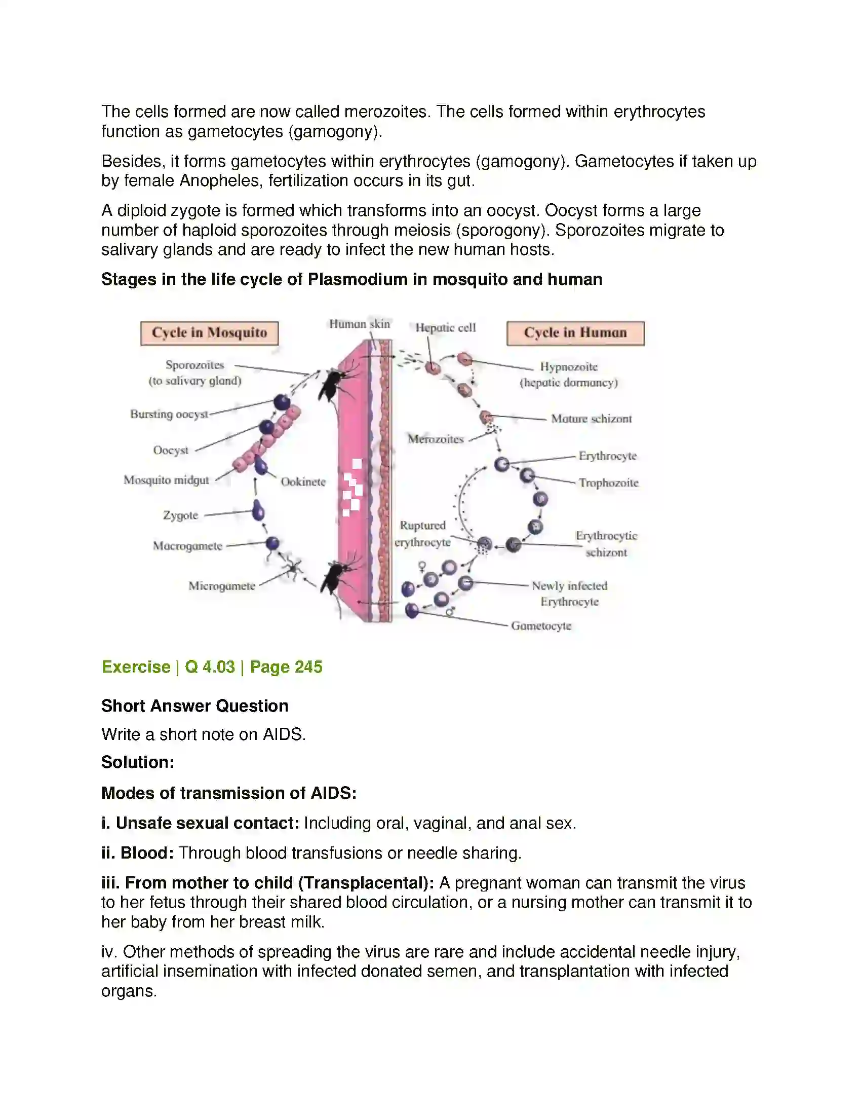 Maharashtra Board Class 12th Biology Human Health and Diseases Solution 12