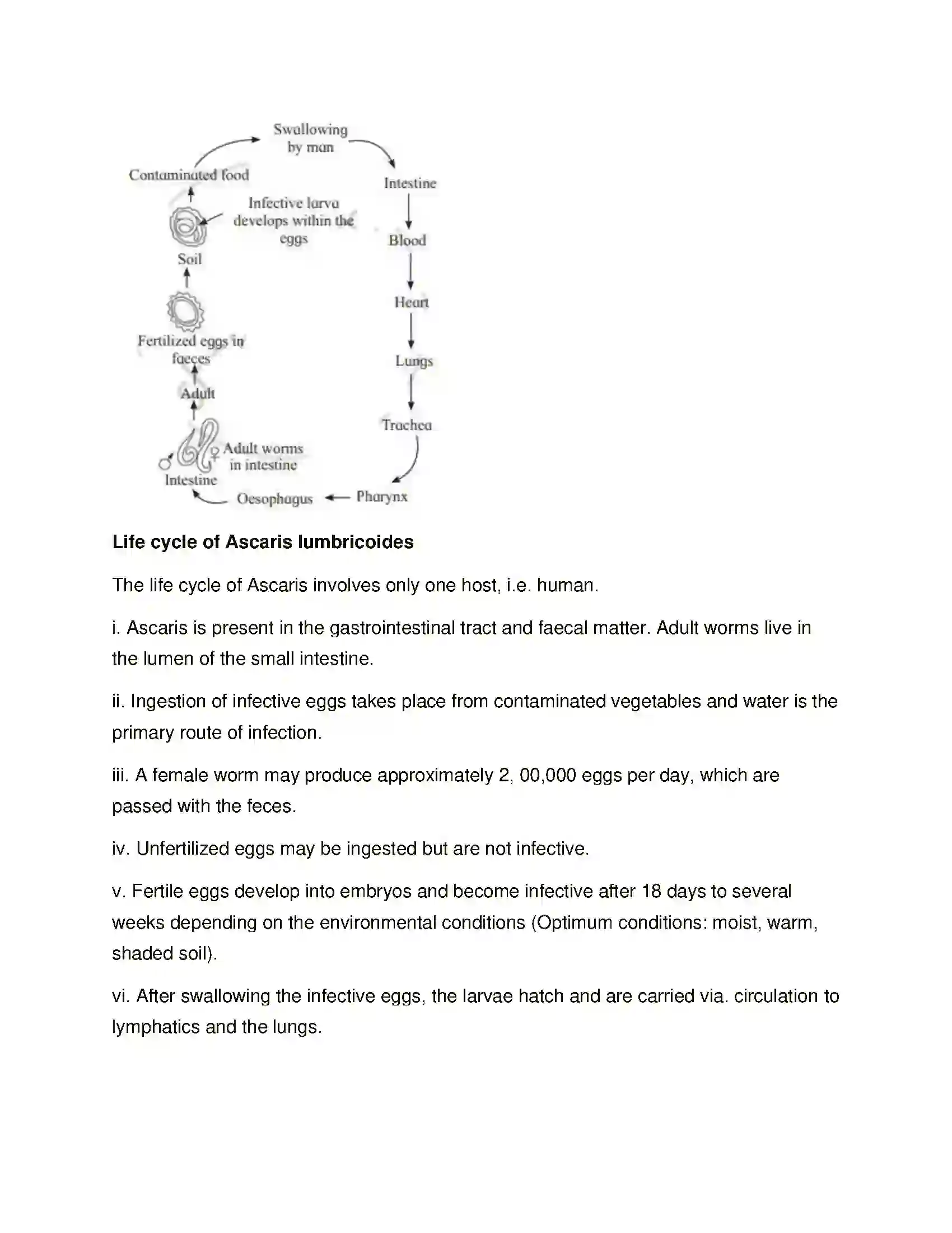 Maharashtra Board Class 12th Biology Human Health and Diseases Solution 19
