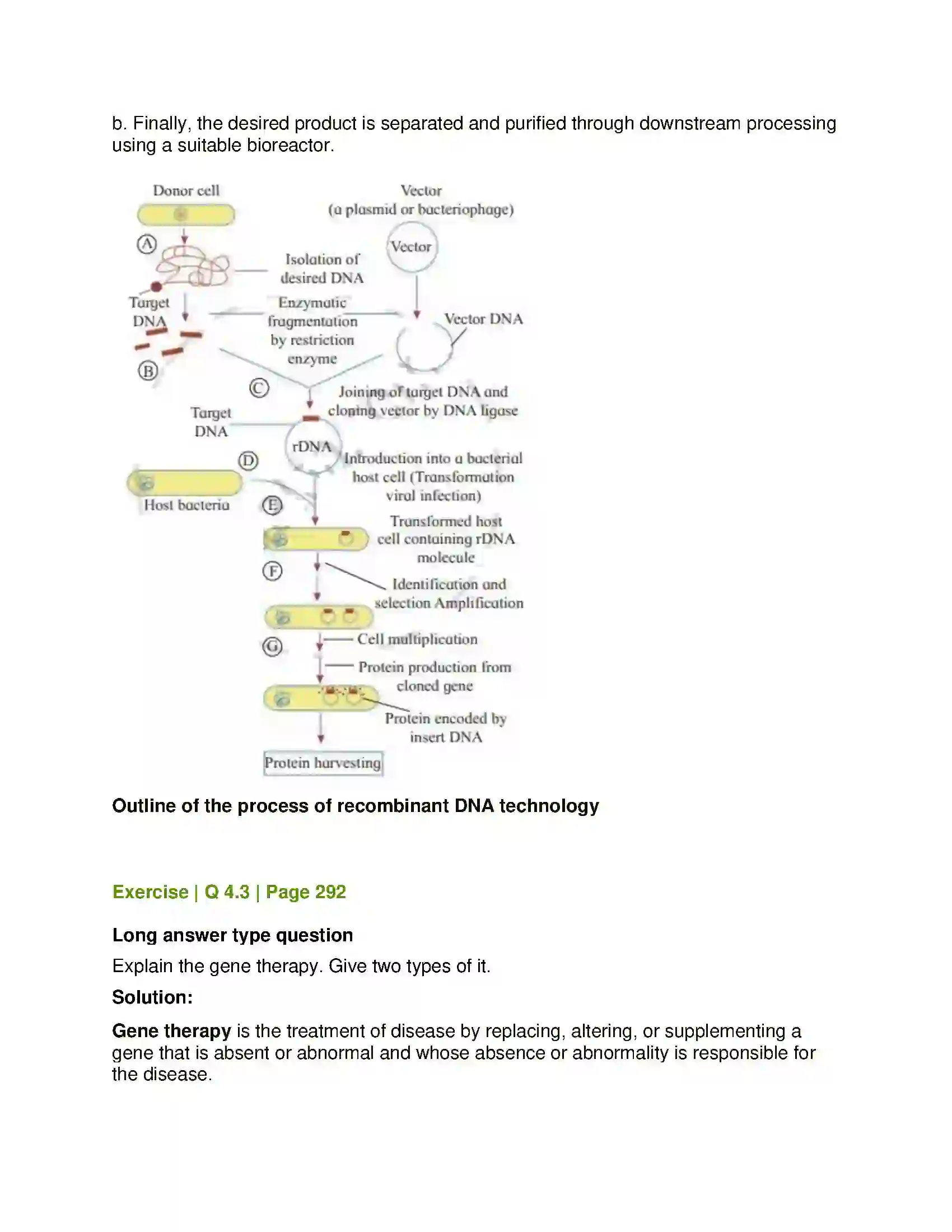 Maharashtra Board Class 12th Biology Biotechnology Solution 12
