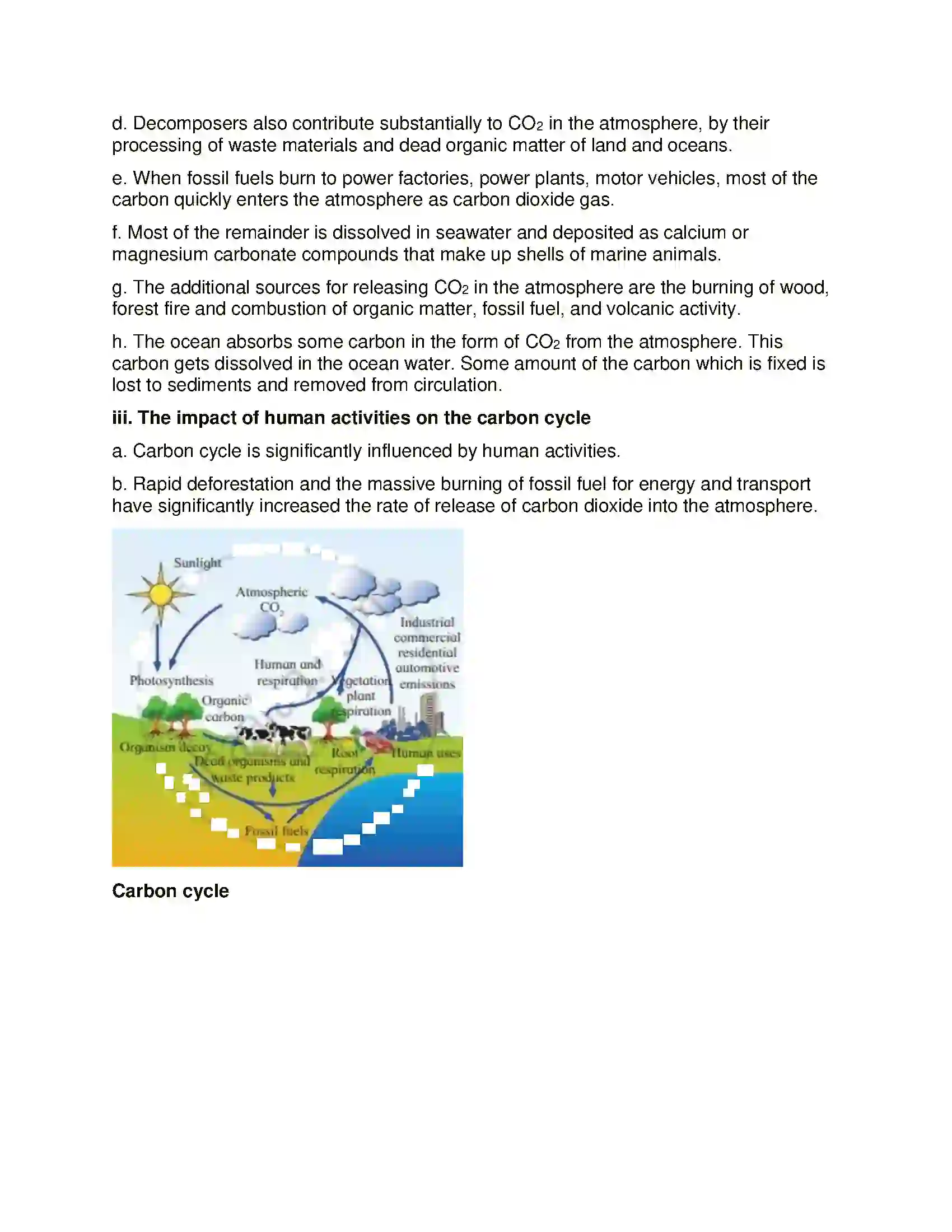 Maharashtra Board Class 12th Biology Ecosystems and Energy Flow Solution 13