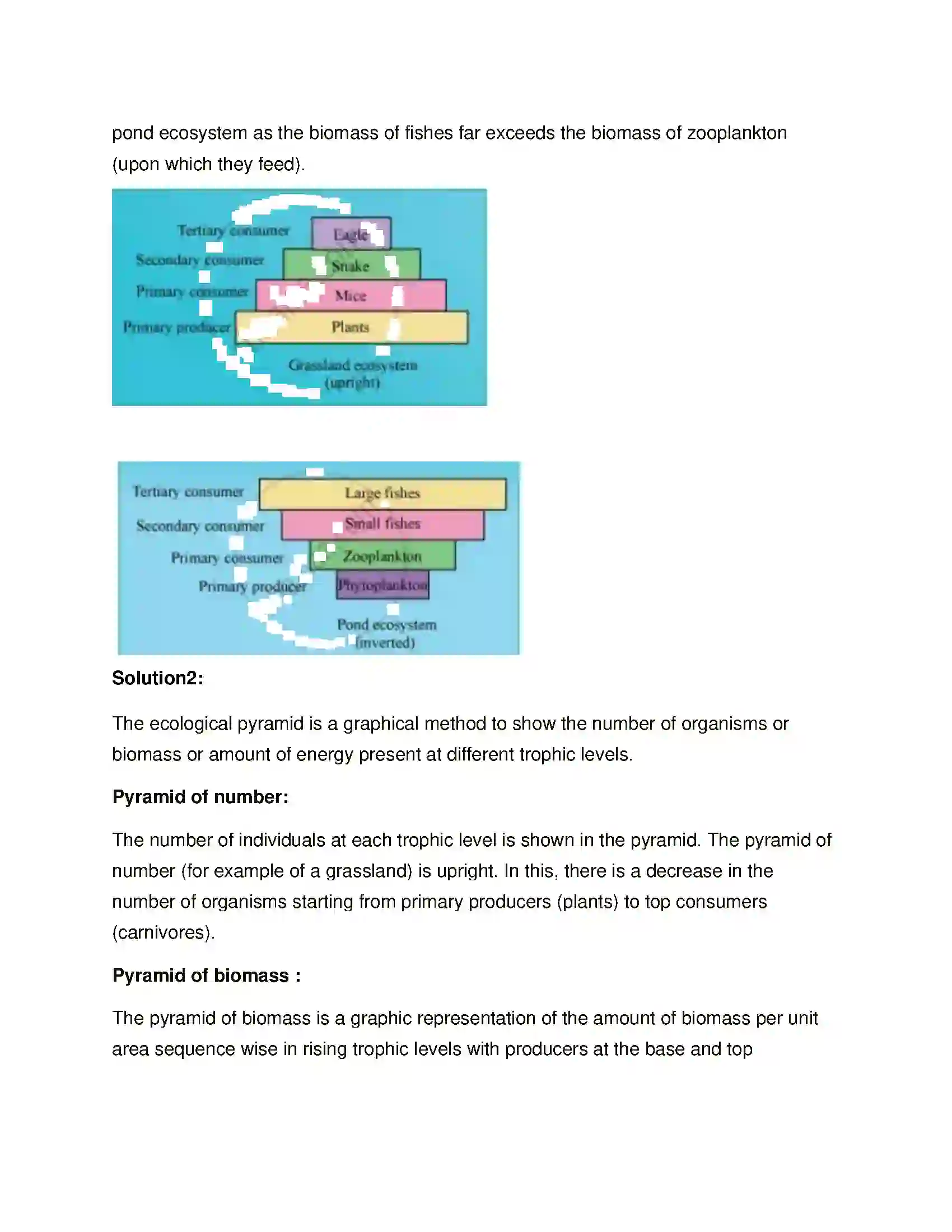 Maharashtra Board Class 12th Biology Ecosystems and Energy Flow Solution 6