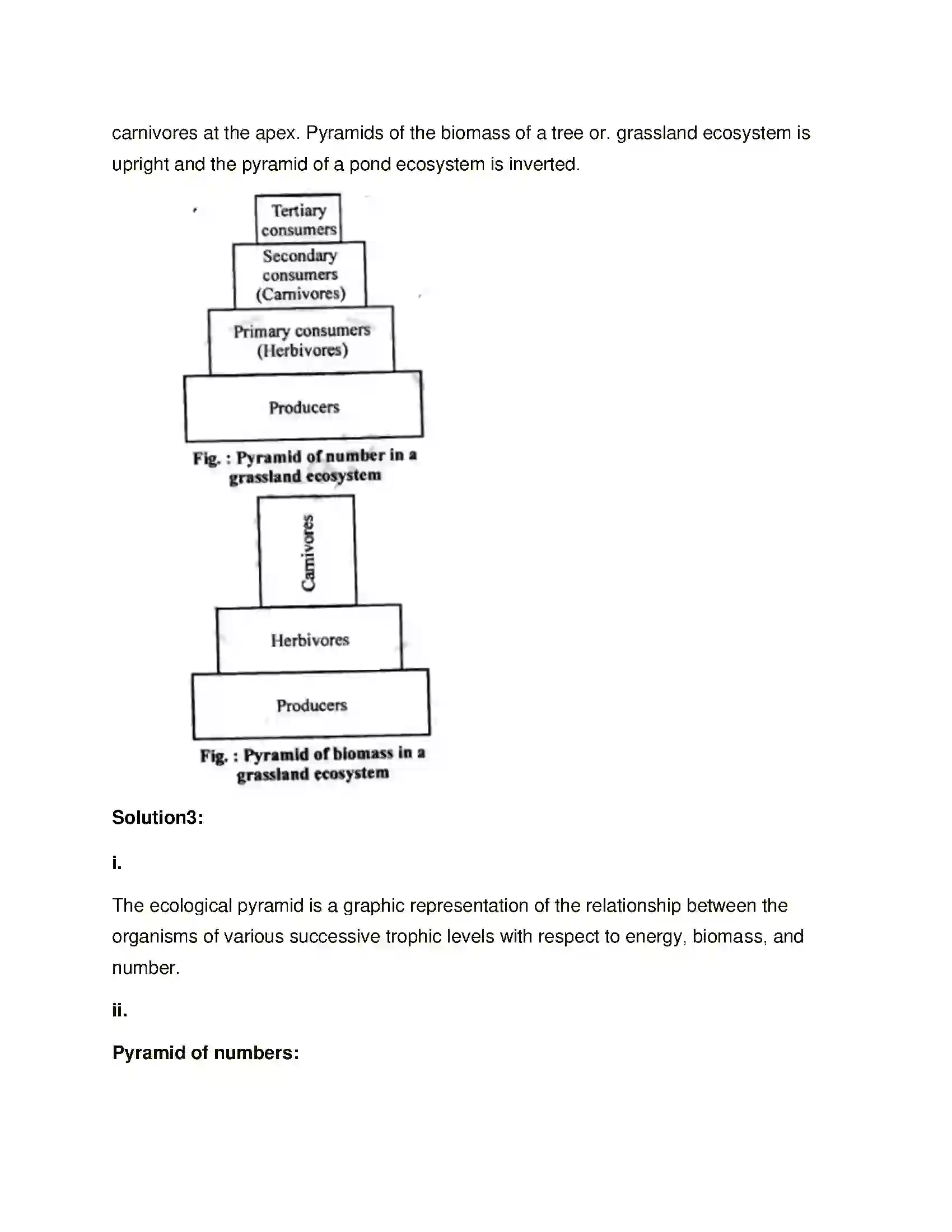 Maharashtra Board Class 12th Biology Ecosystems and Energy Flow Solution 7