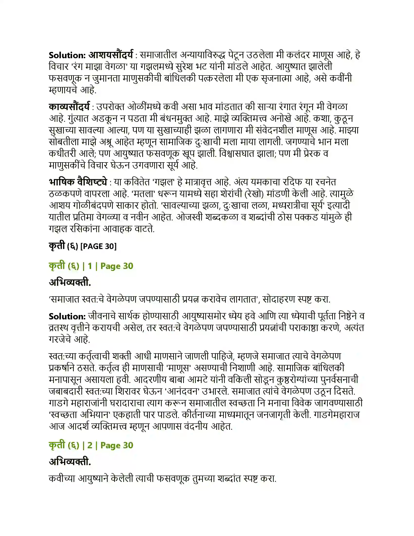 Maharashtra Board Class 12th Marathi रंग मा झा वेगळा Solution 6