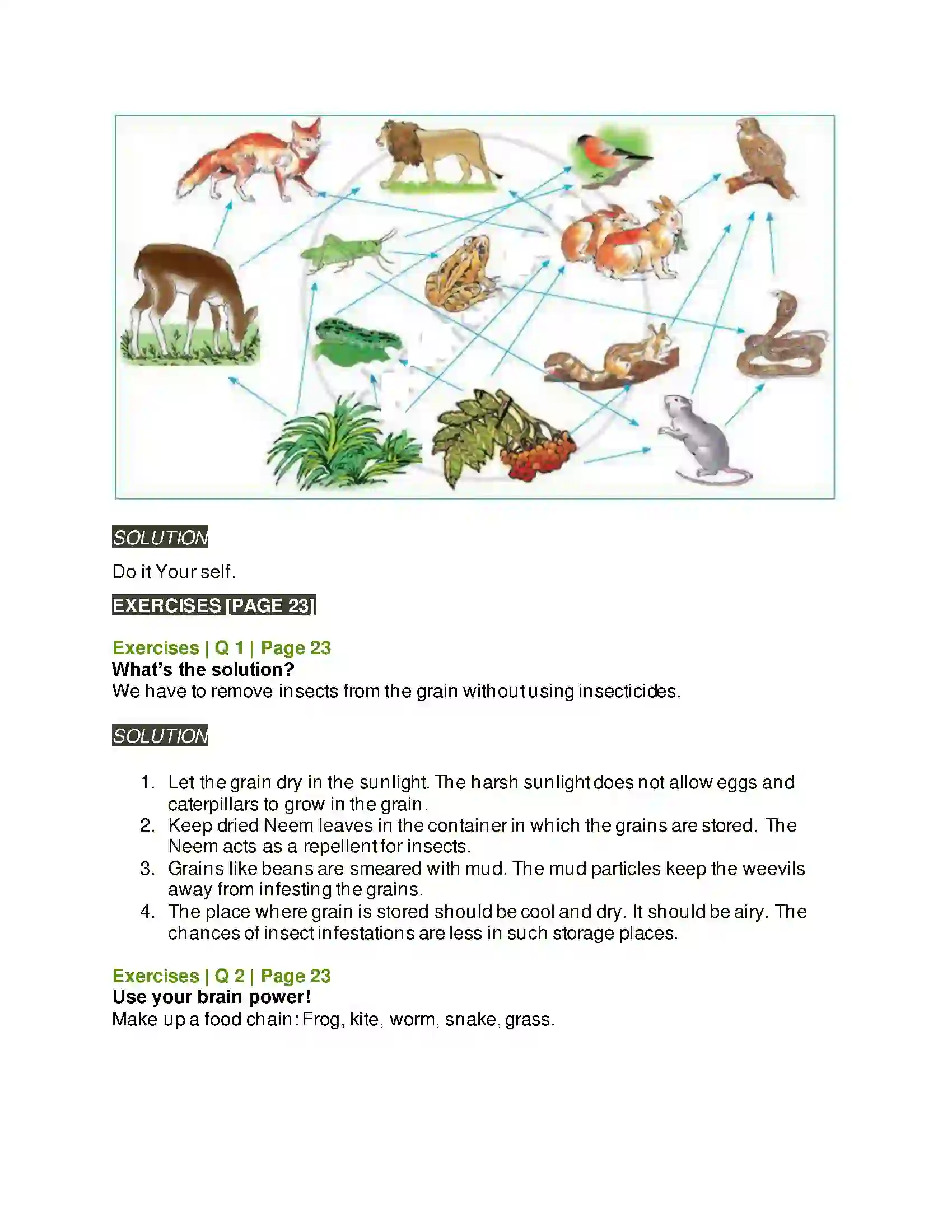 Maharashtra Board Class 5th Environmental Studies - 1 Environmental Balance Solution 3
