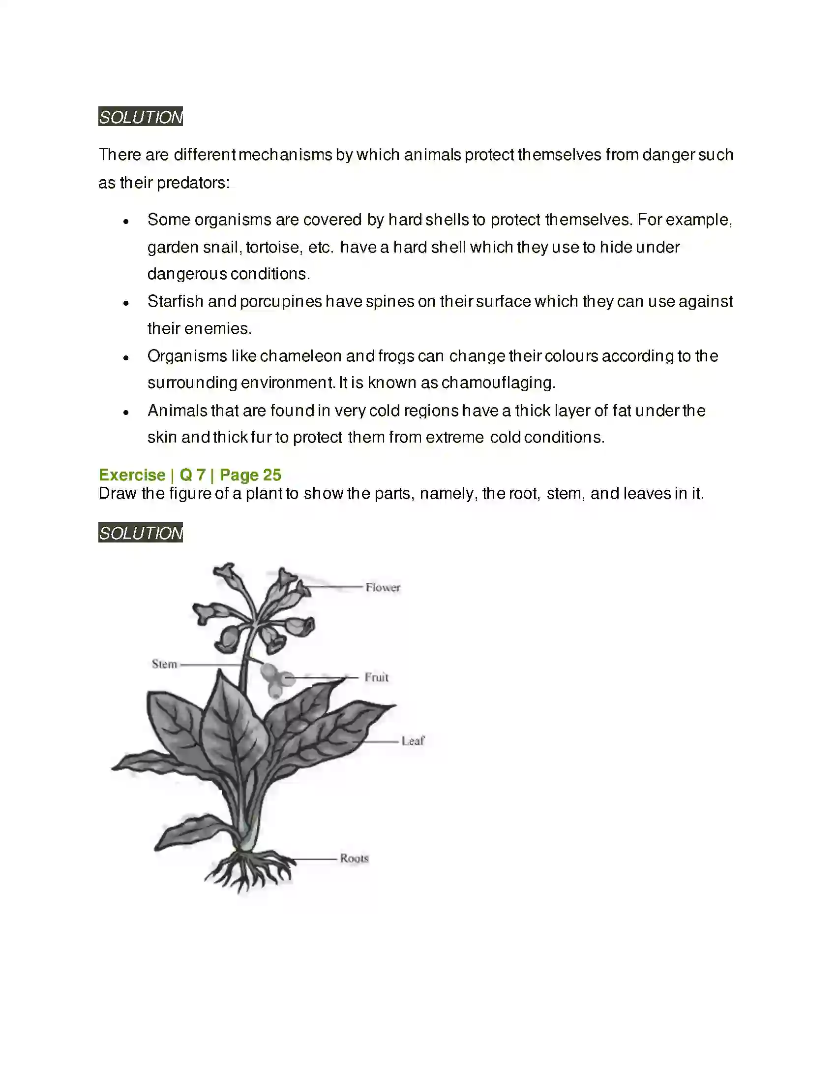 Maharashtra Board Class 6th General Science Diversity in Living Things & Their Classification Solution 9