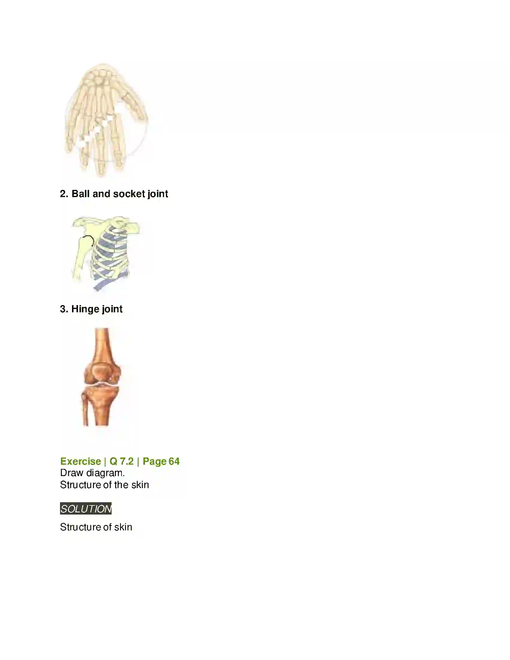 Maharashtra Board Class 6th General Science Our Skeletal System and the Skin Solution 6