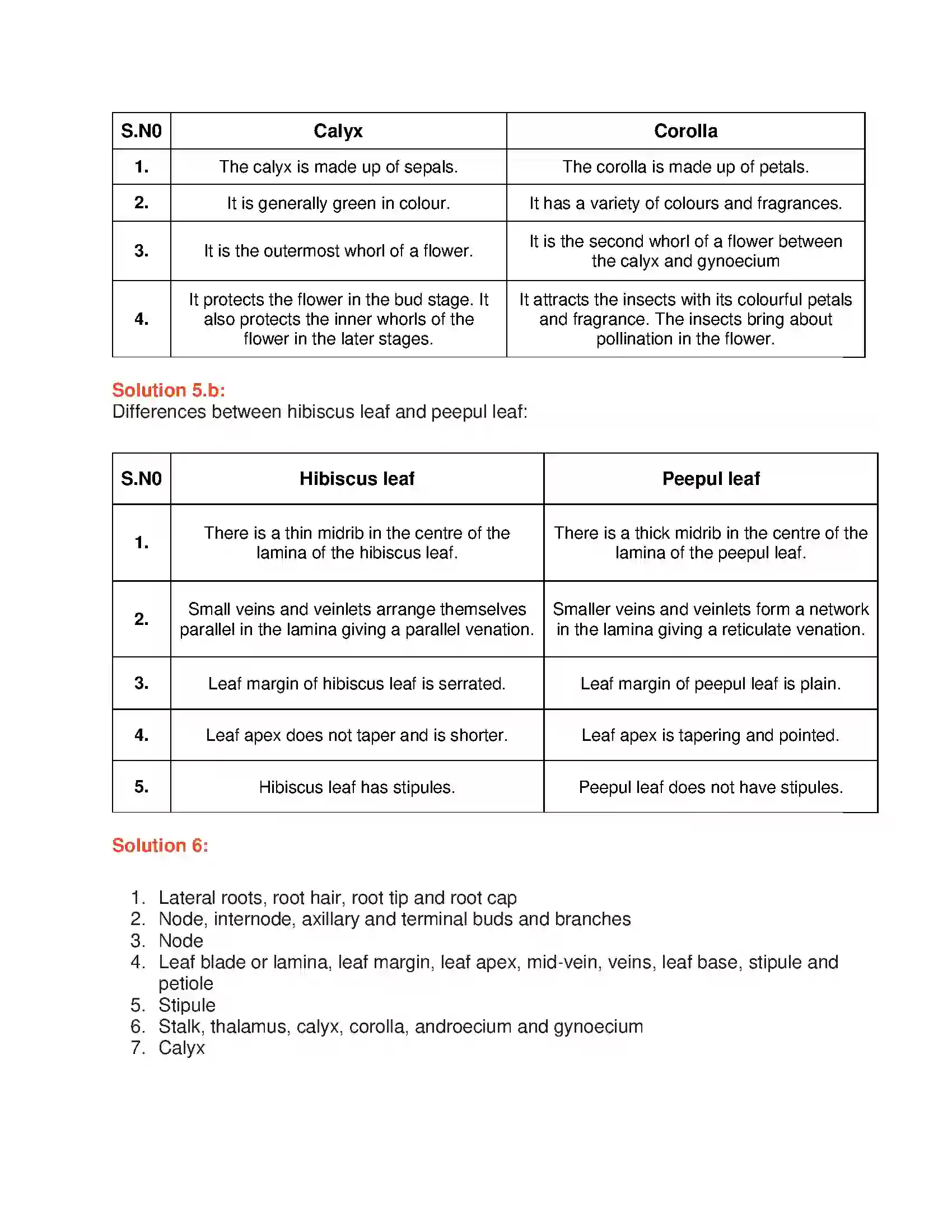 Maharashtra Board Class 6th General Science Parts of Plants and their Structure Solution 2