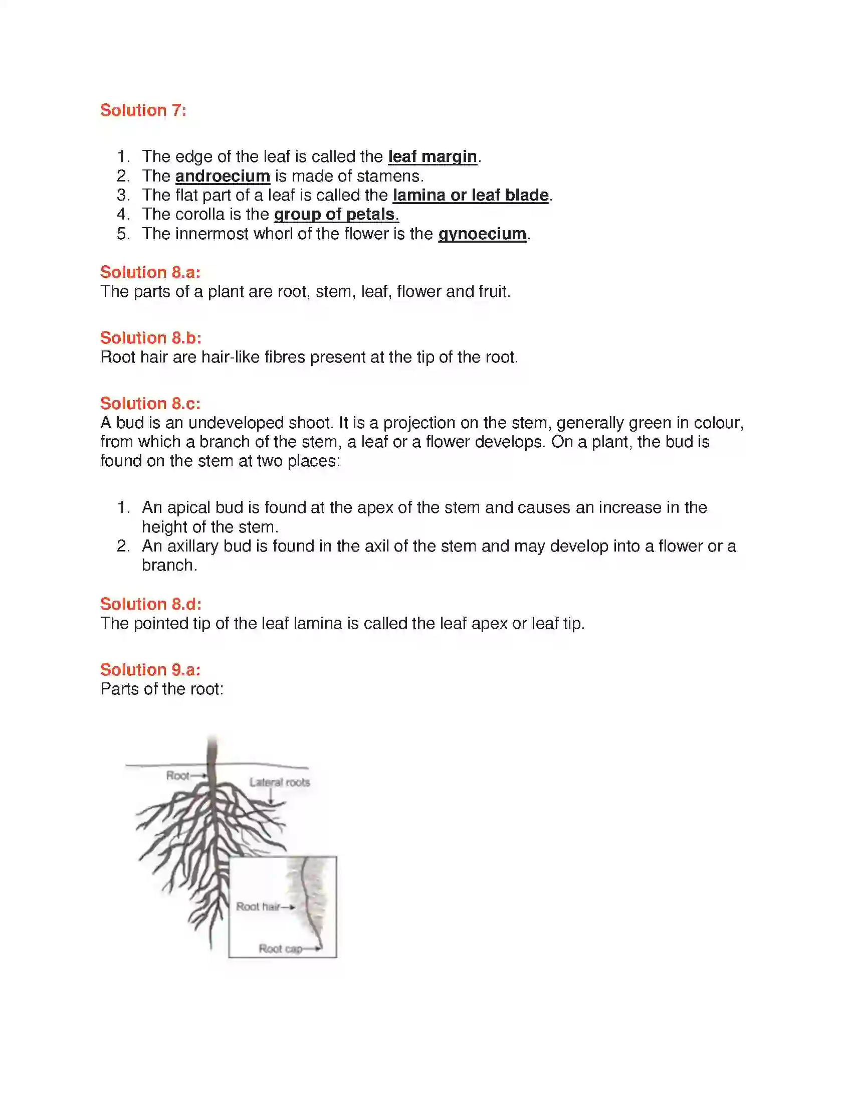 Maharashtra Board Class 6th General Science Parts of Plants and their Structure Solution 3