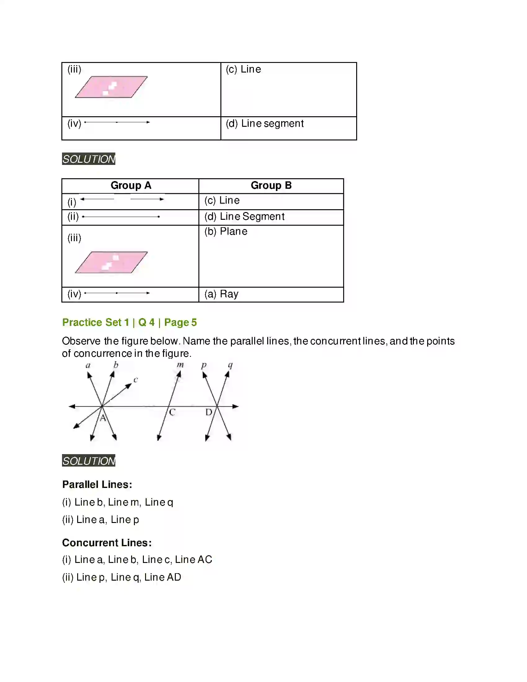 Maharashtra Board Class 6th Mathematics Basic Concepts in Geometry Solution 3