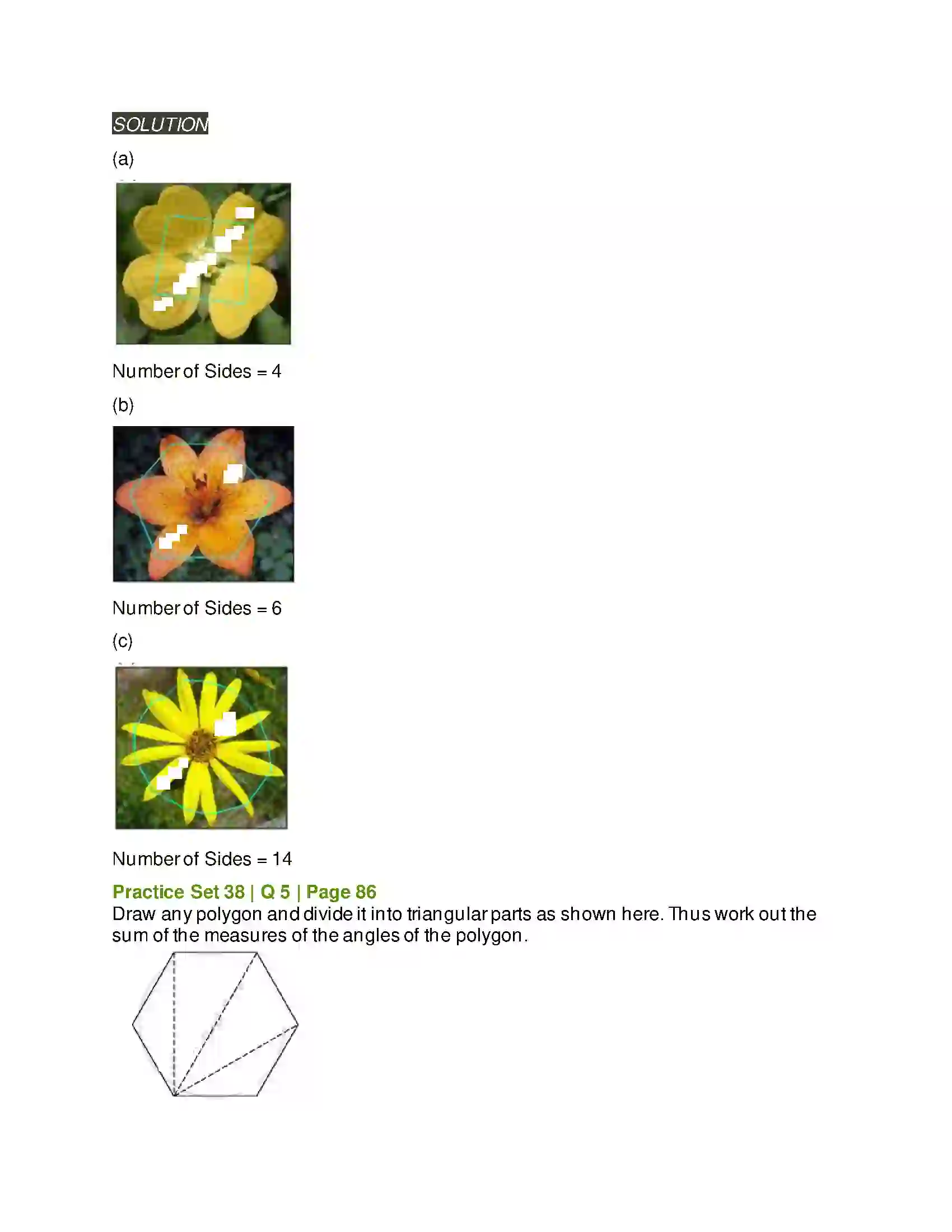 Maharashtra Board Class 6th Mathematics Quadrilaterals Solution 6