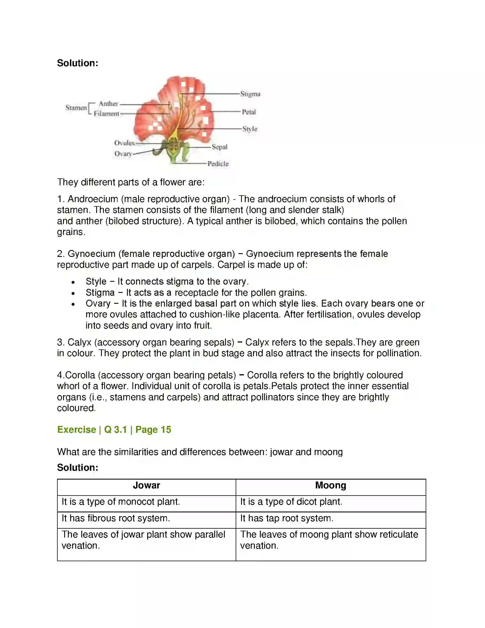 Maharashtra Board Class 7th General Science Plants Structure and Function Solution 2