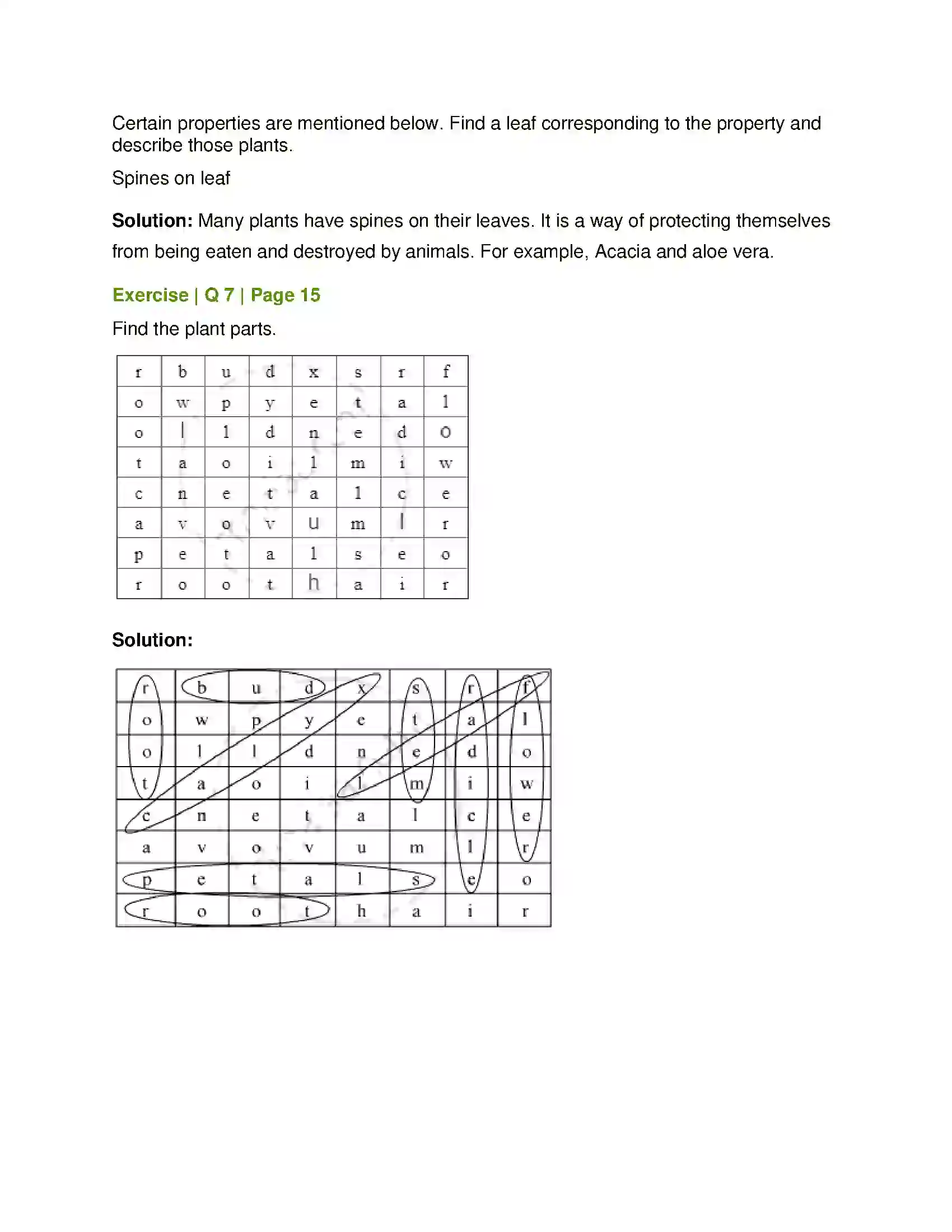 Maharashtra Board Class 7th General Science Plants Structure and Function Solution 6