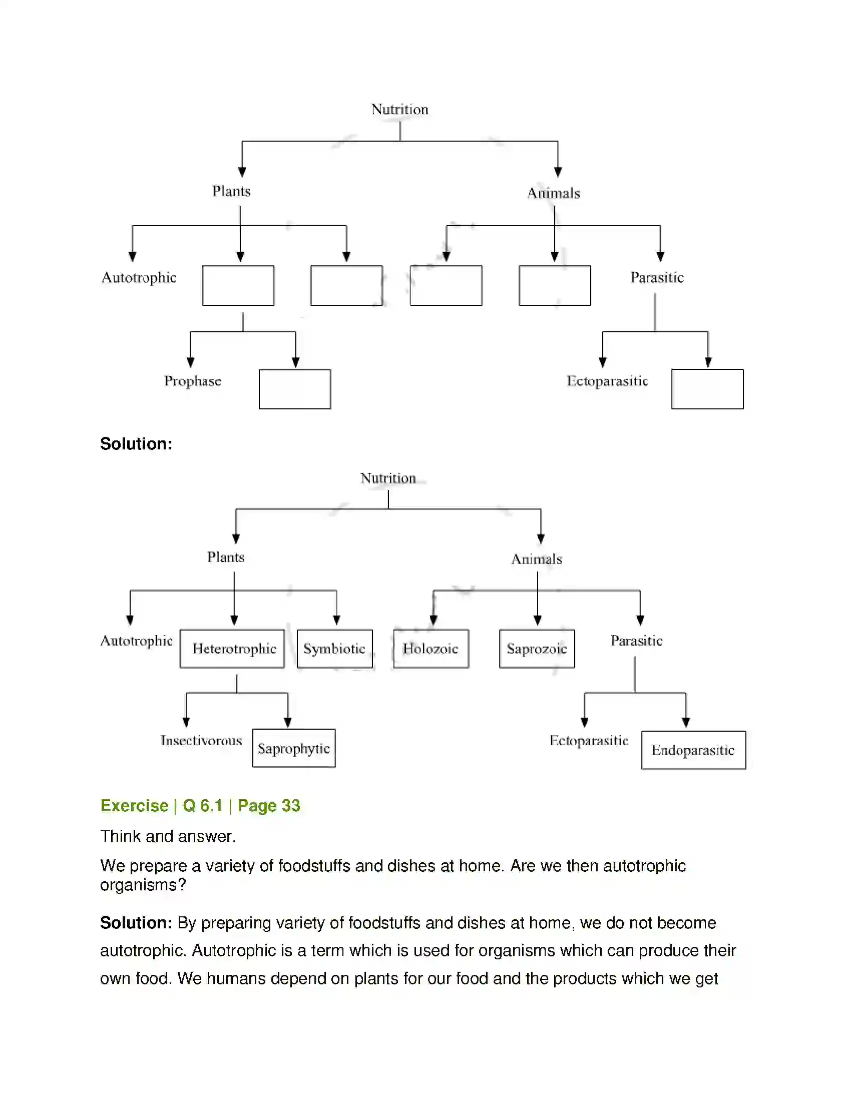 Maharashtra Board Class 7th General Science Nutrition in Living Organisms Solution 8