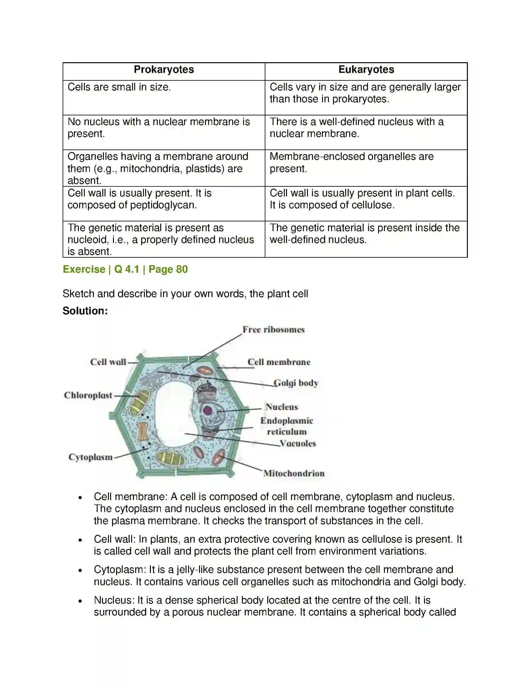 Maharashtra Board Class 7th General Science Cell Structure and Micro-organisms Solution 4