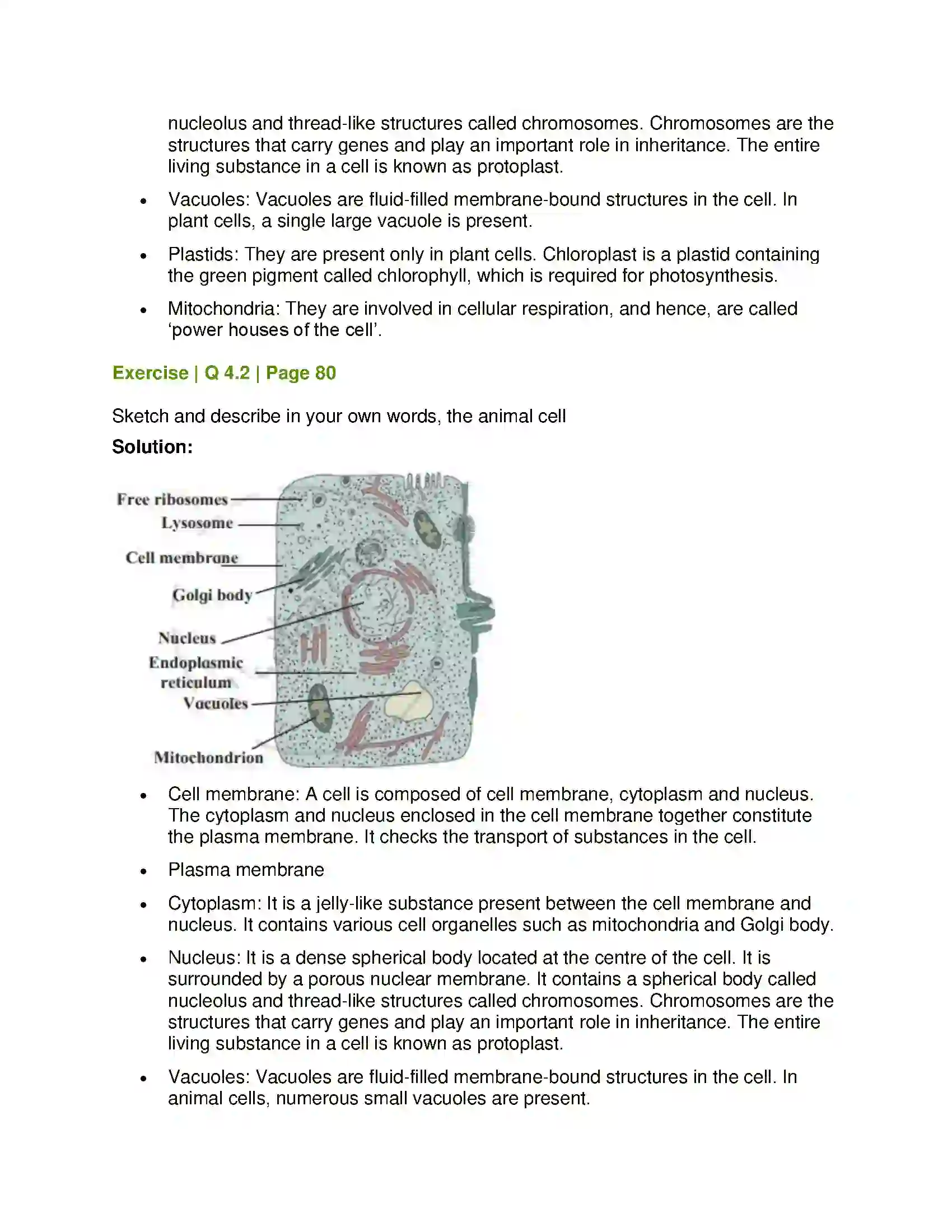 Maharashtra Board Class 7th General Science Cell Structure and Micro-organisms Solution 5