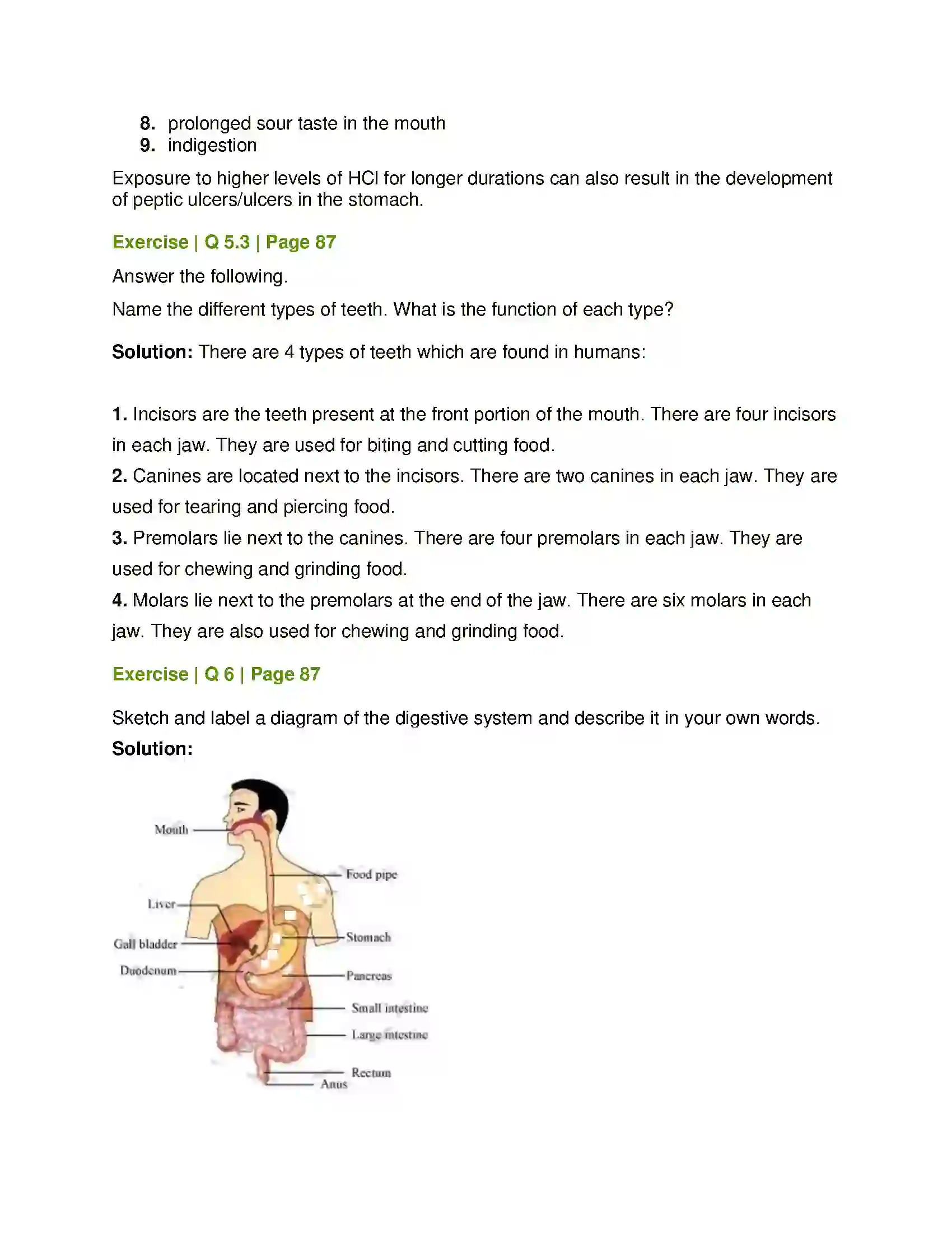 Maharashtra Board Class 7th General Science The Muscular System & Digestive System in Human Beings Solution 6