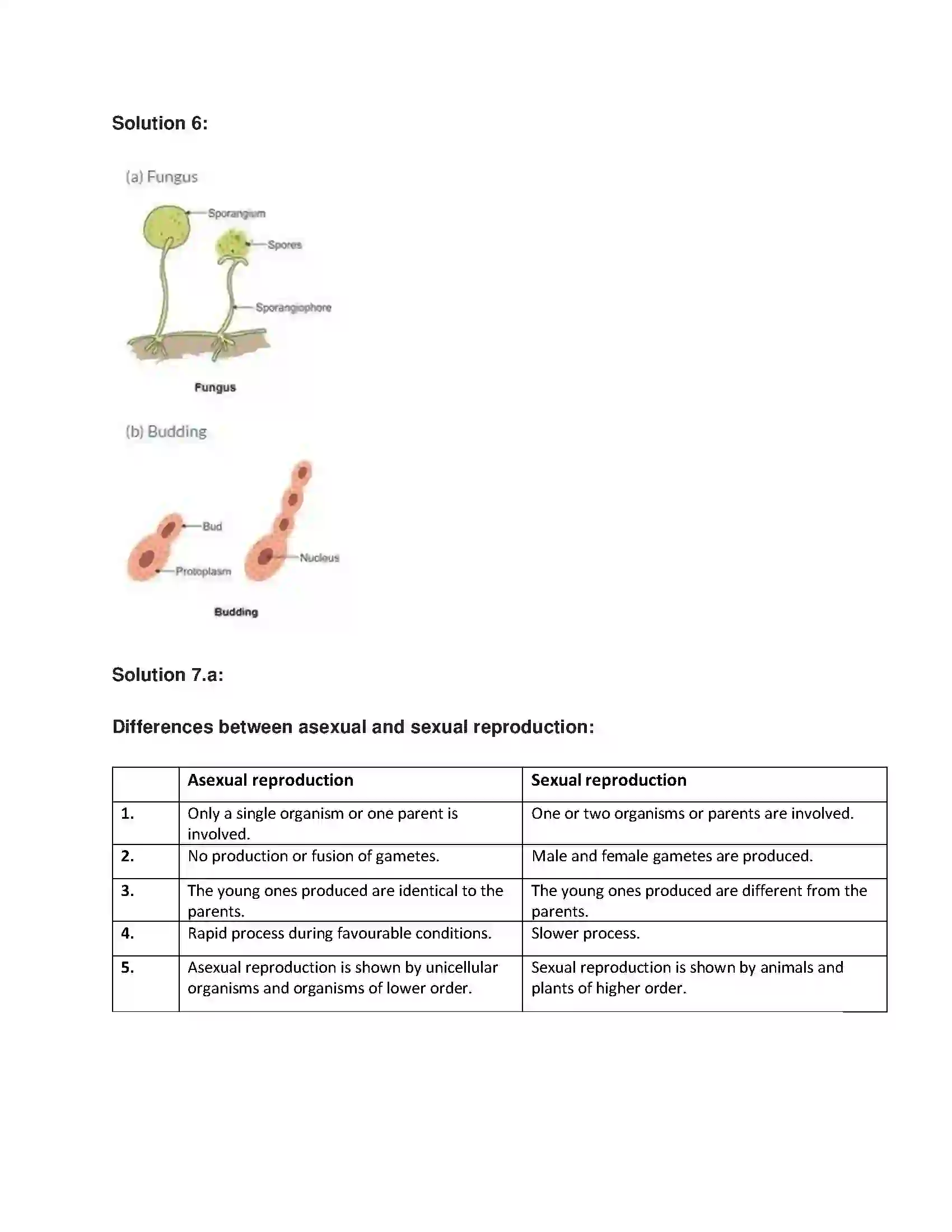 Maharashtra Board Class 7th General Science Reproduction in Living Things Solution 3