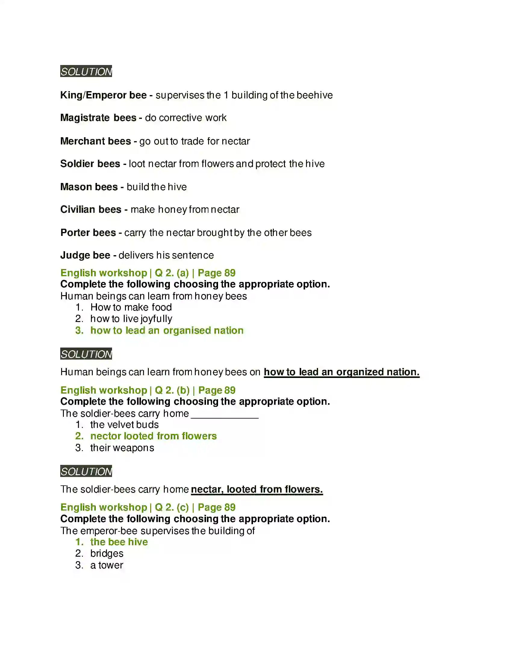 Maharashtra Board Class 8th English 4.3 The Bees Solution 6