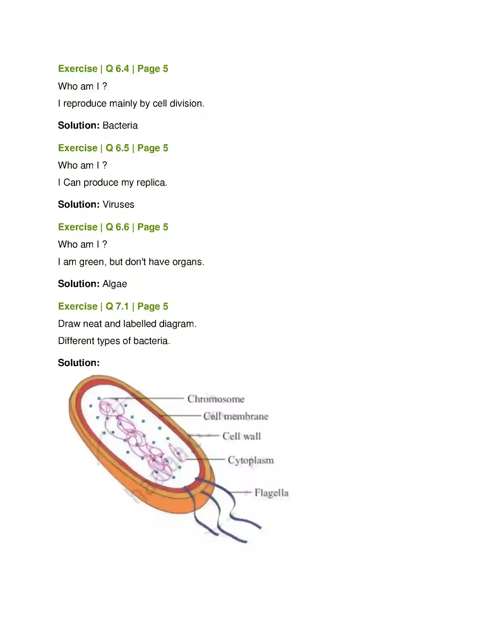 Maharashtra Board Class 8th General Science Living World and Classification of Microbes Solution 6
