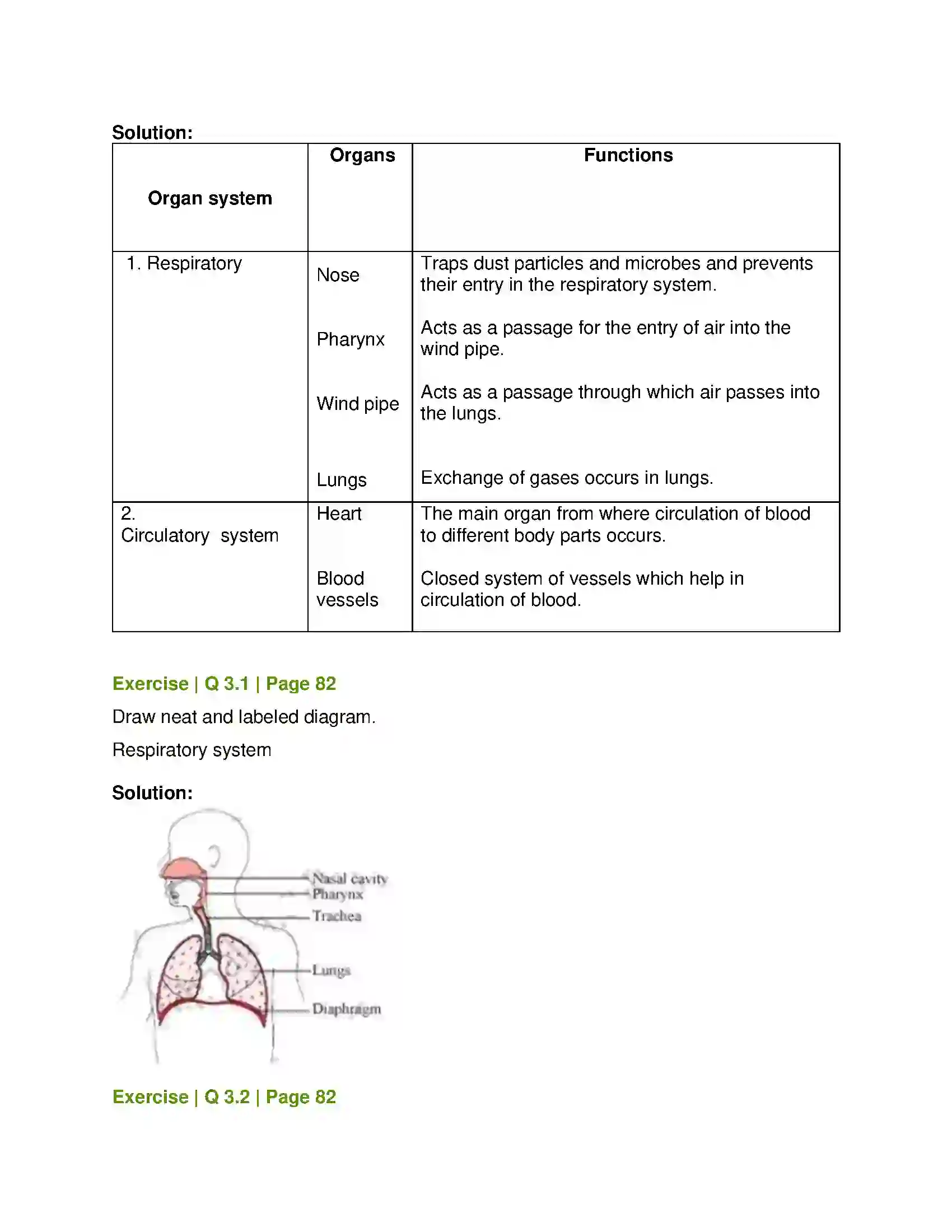 Maharashtra Board Class 8th General Science Human Body and Organ System Solution 2