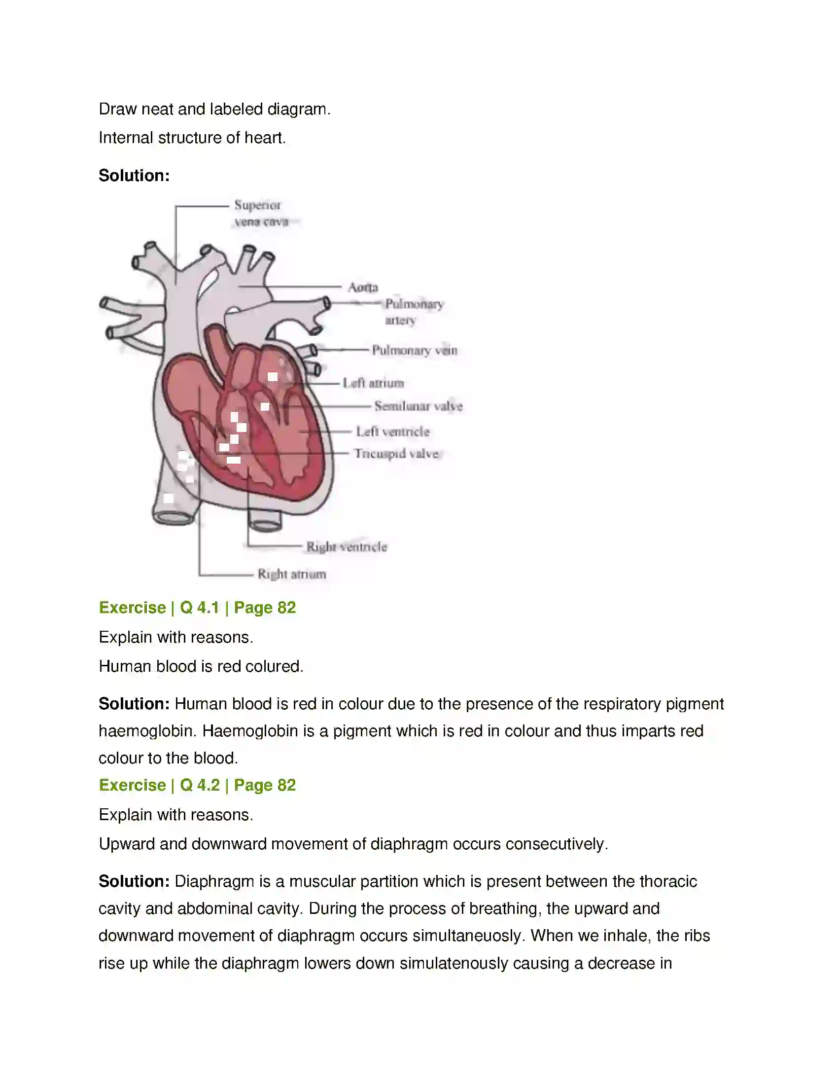 Maharashtra Board Class 8th General Science Human Body and Organ System Solution 3