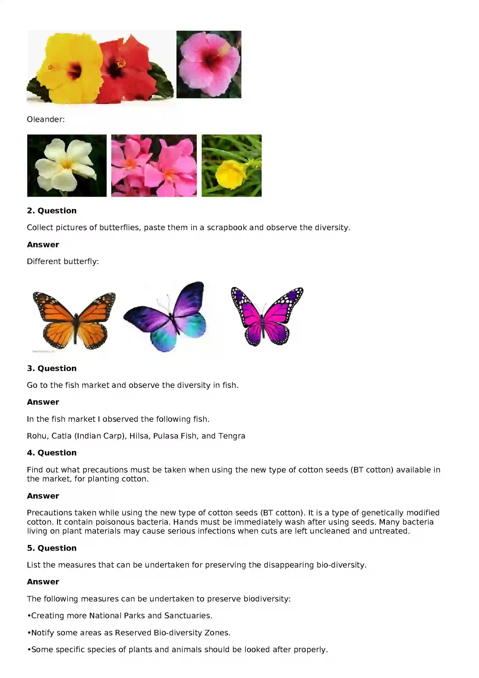 Maharashtra Board Class 8th General Science Biological Diversity Solution 4
