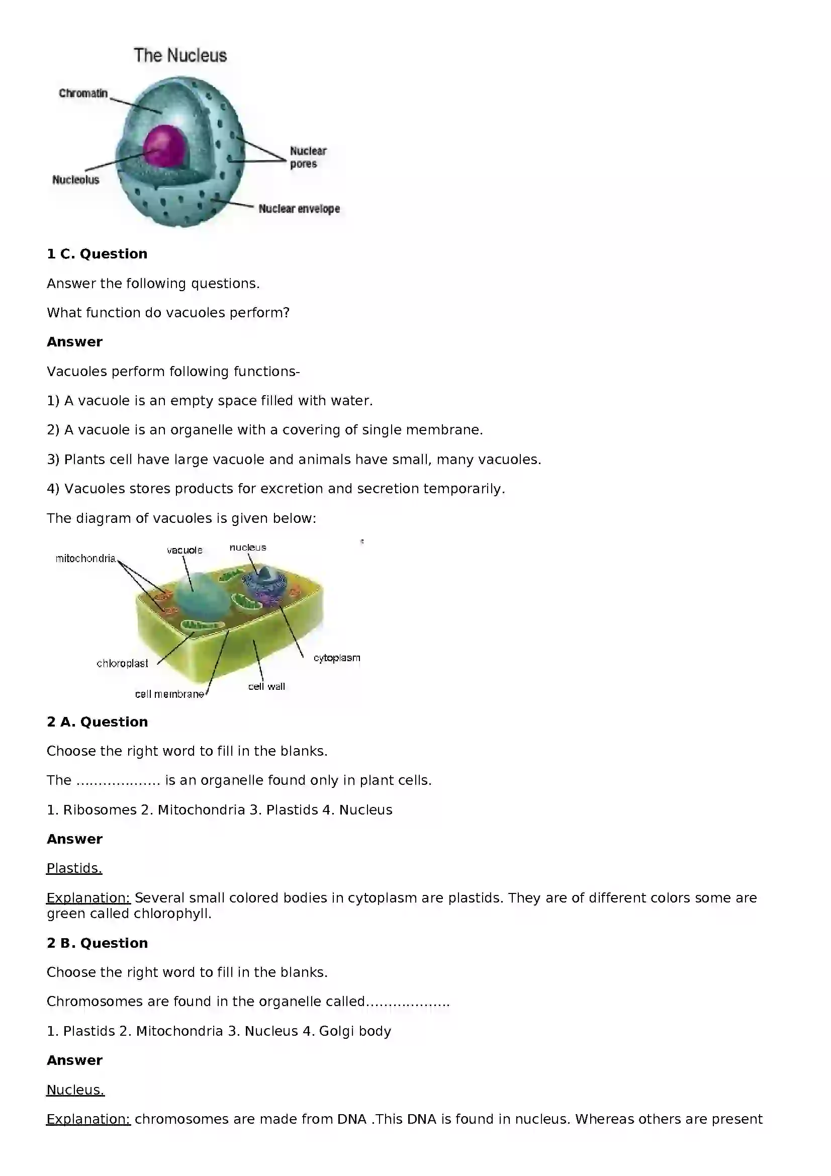 Maharashtra Board Class 8th General Science The Structure of Cell and Micro-organisms Solution 2
