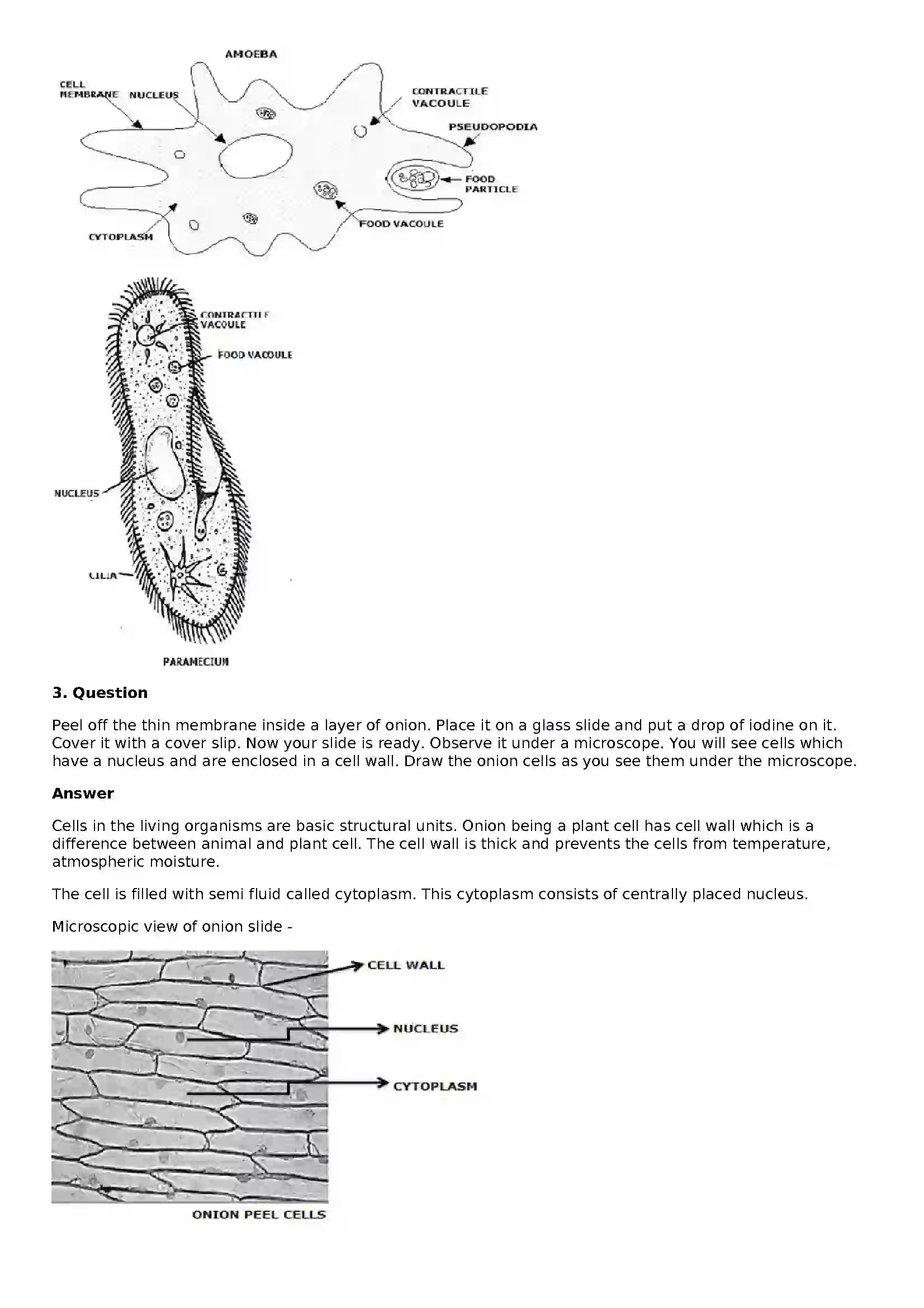 Maharashtra Board Class 8th General Science The Structure of Cell and Micro-organisms Solution 6