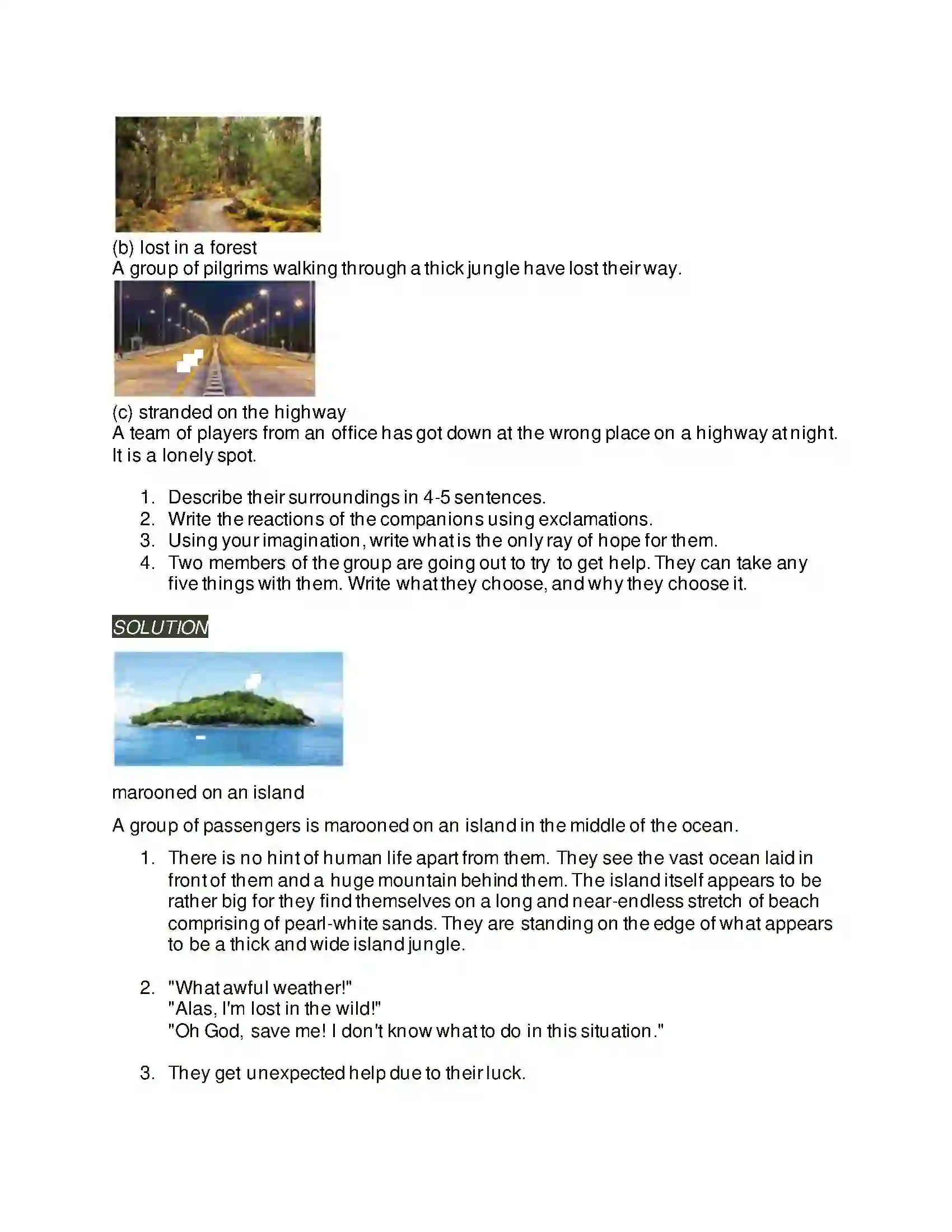 Maharashtra Board Class 9th Kumarbharati - English Medium 1.2 A Synopsis-The Swiss Family Robinson Solution 3