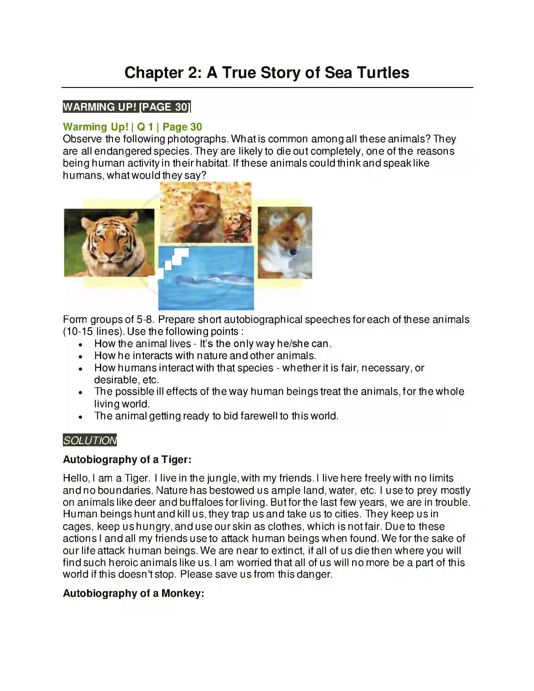Maharashtra Board Class 9th Kumarbharati - English Medium 2.2 A True Story of Sea Turtles Solution 1