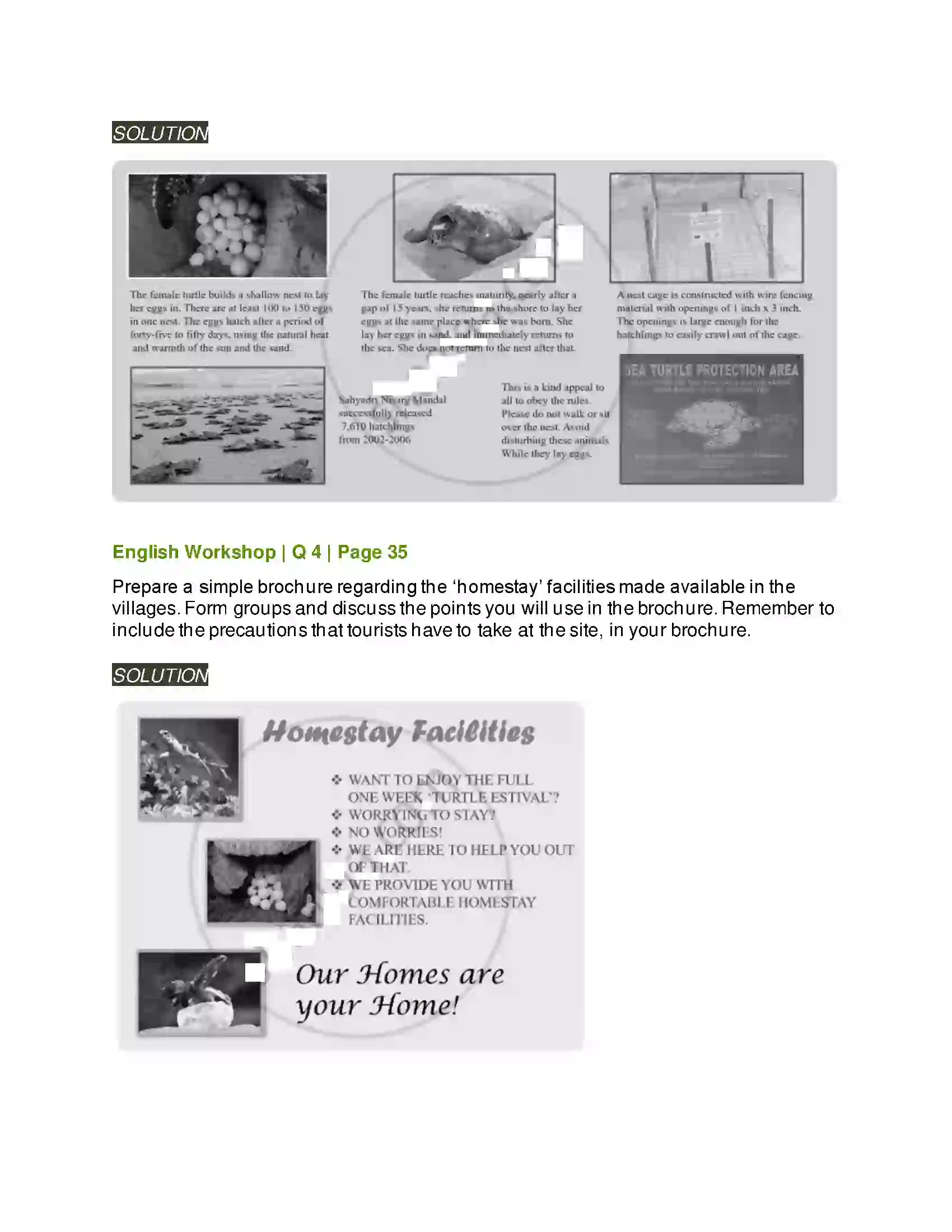 Maharashtra Board Class 9th Kumarbharati - English Medium 2.2 A True Story of Sea Turtles Solution 6