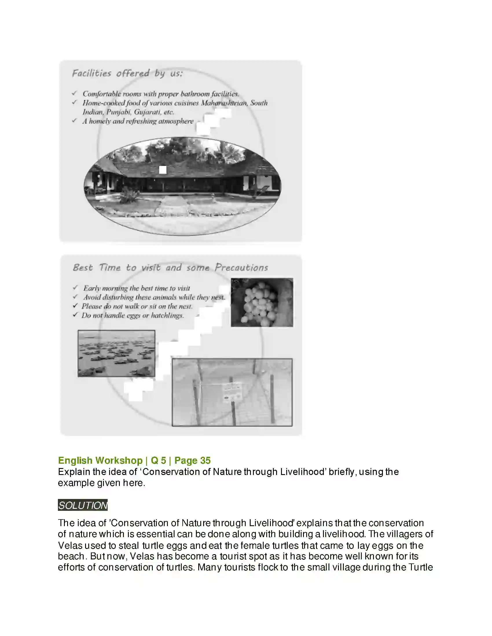 Maharashtra Board Class 9th Kumarbharati - English Medium 2.2 A True Story of Sea Turtles Solution 7