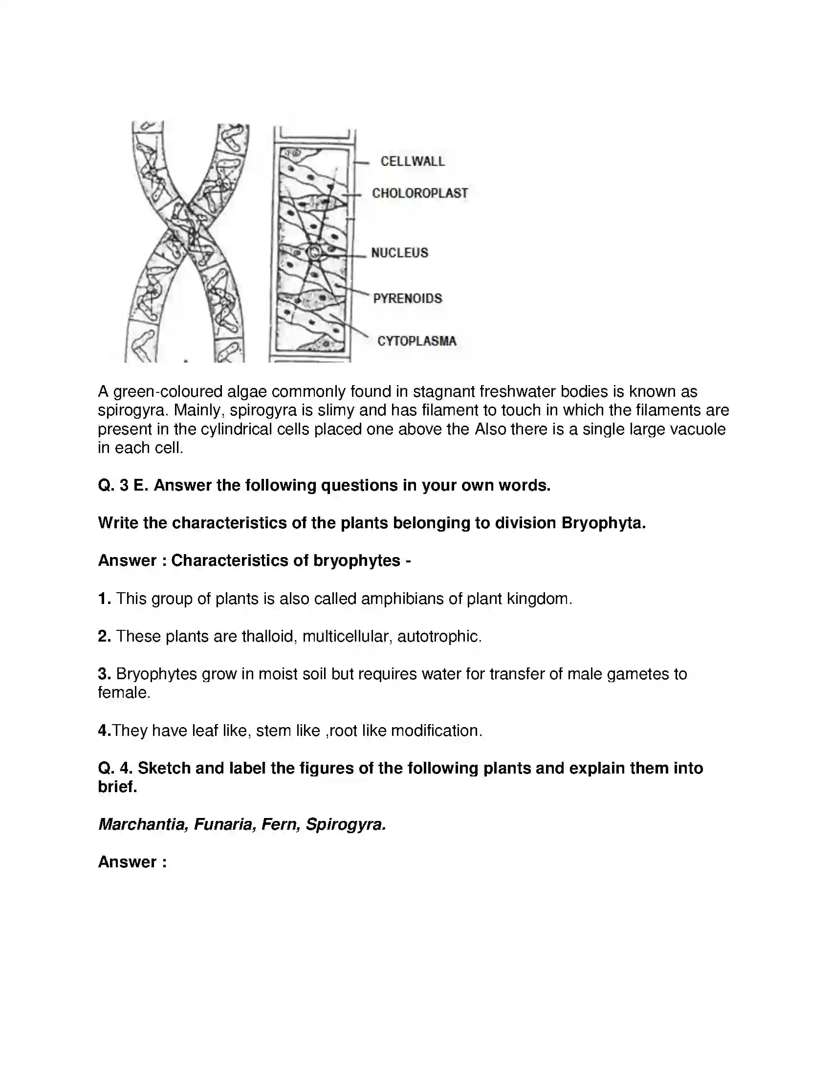 Maharashtra Board Class 9th Science & Technology - English Medium Classification of Plants Solution 6