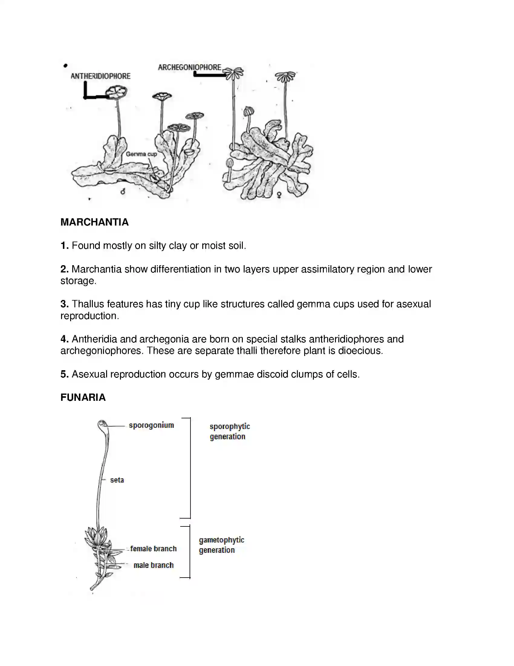 Maharashtra Board Class 9th Science & Technology - English Medium Classification of Plants Solution 7