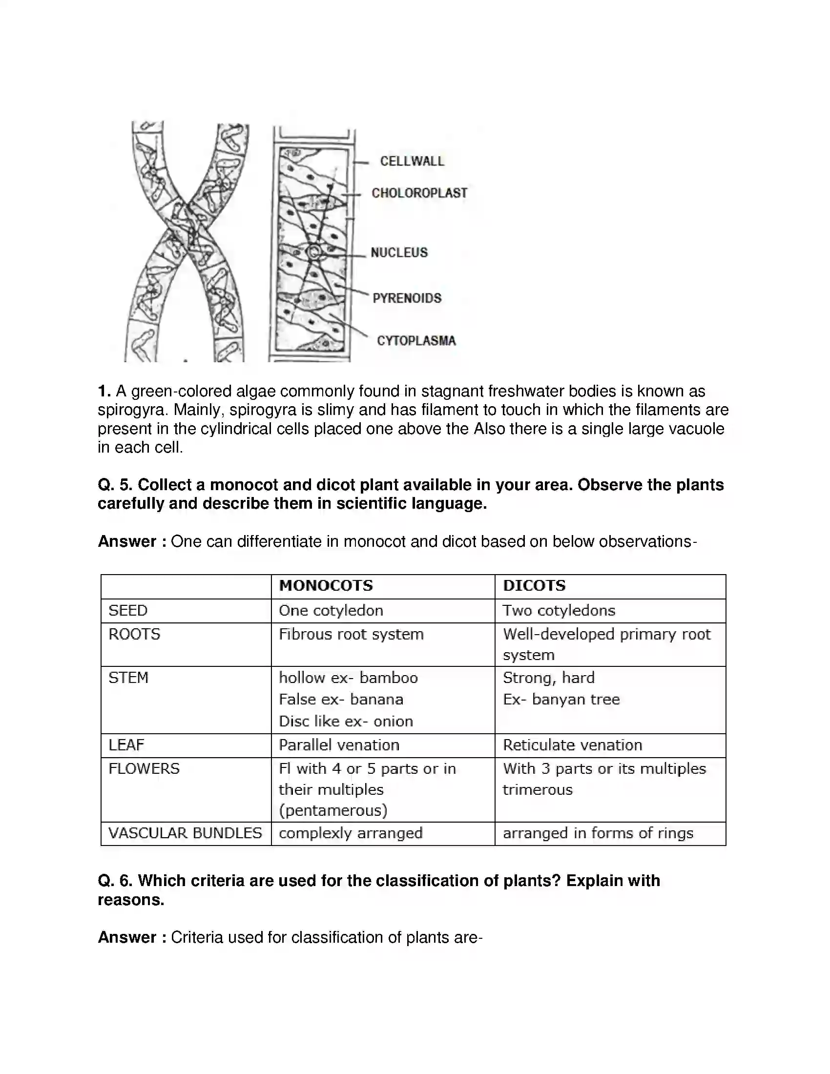 Maharashtra Board Class 9th Science & Technology - English Medium Classification of Plants Solution 9
