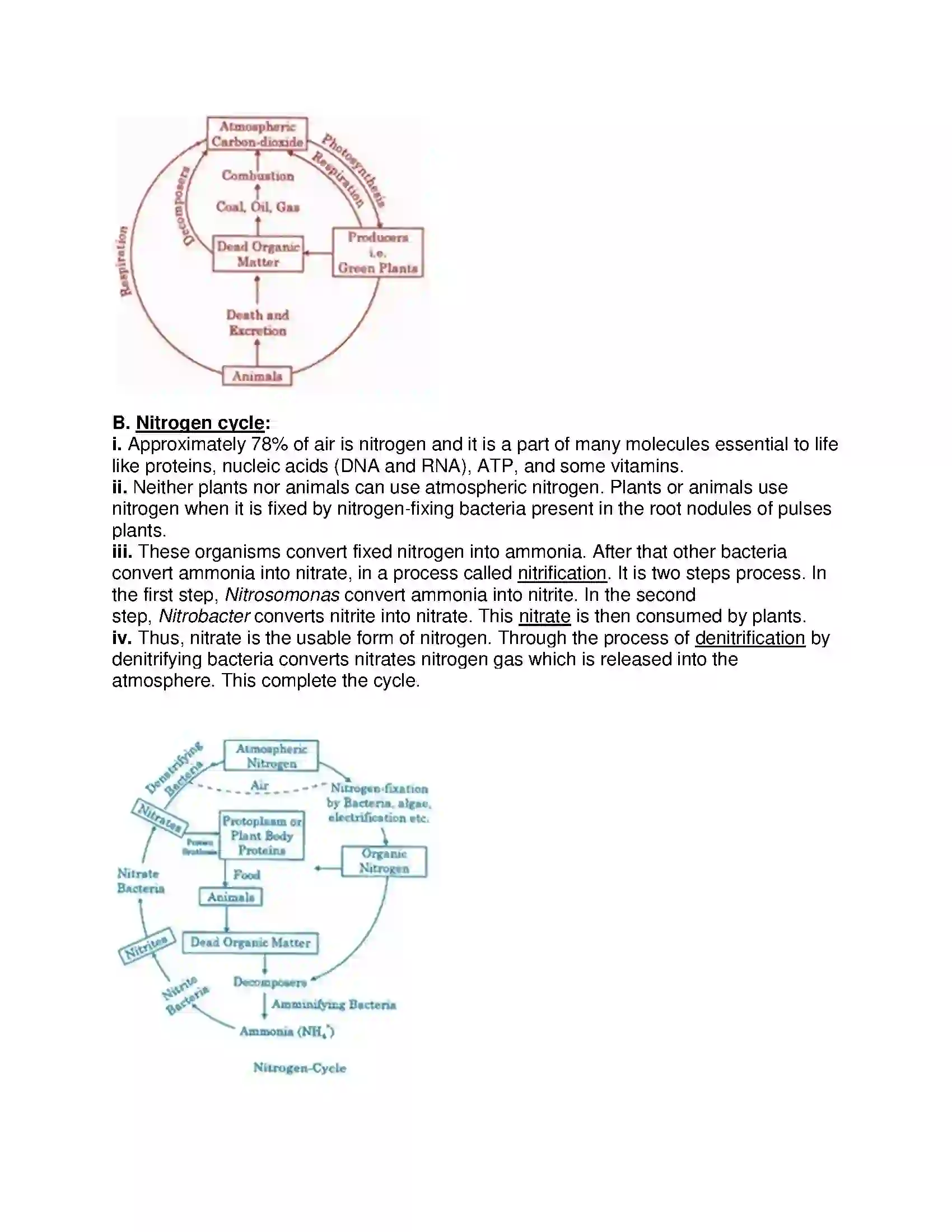 Maharashtra Board Class 9th Science & Technology - English Medium Energy Flow in an Ecosystem Solution 4