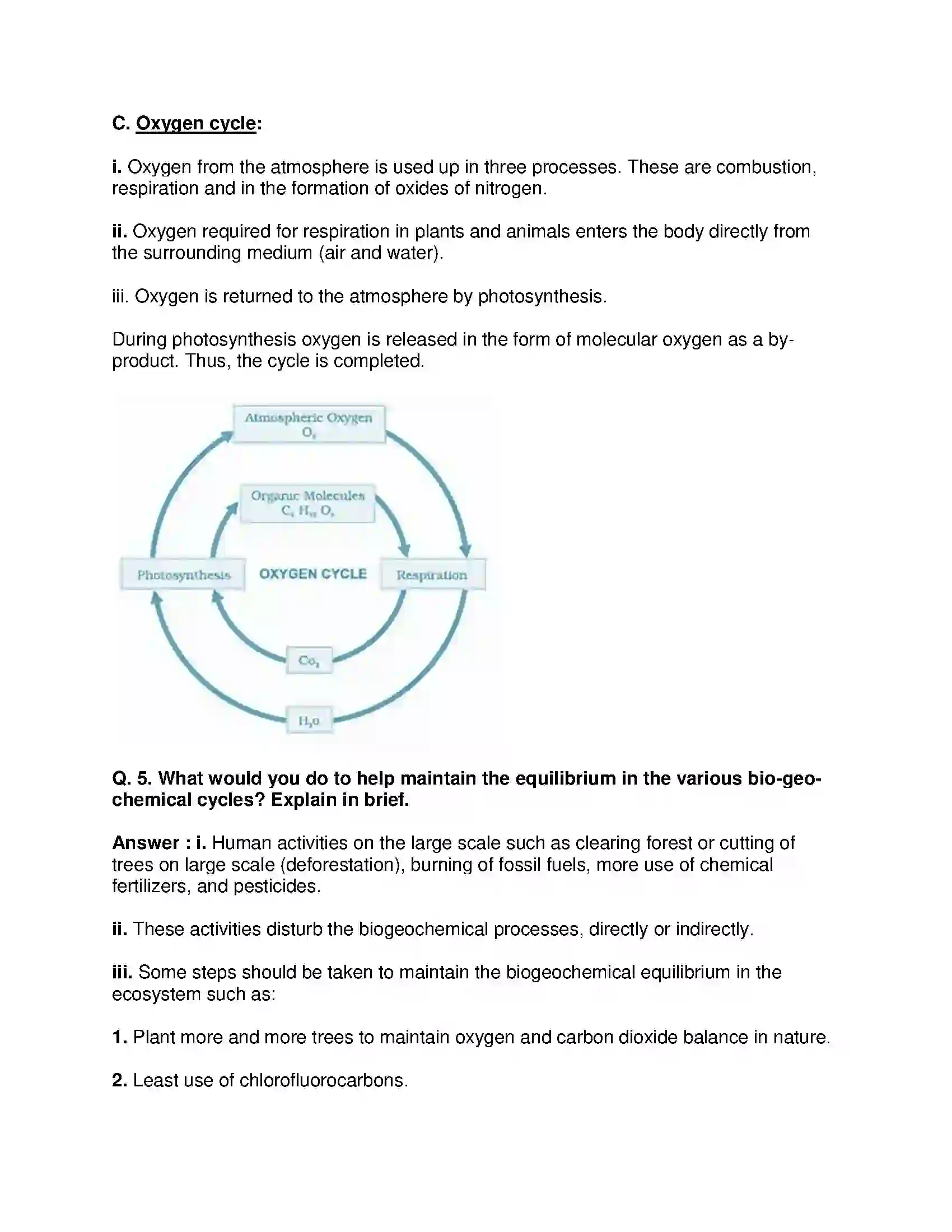 Maharashtra Board Class 9th Science & Technology - English Medium Energy Flow in an Ecosystem Solution 5